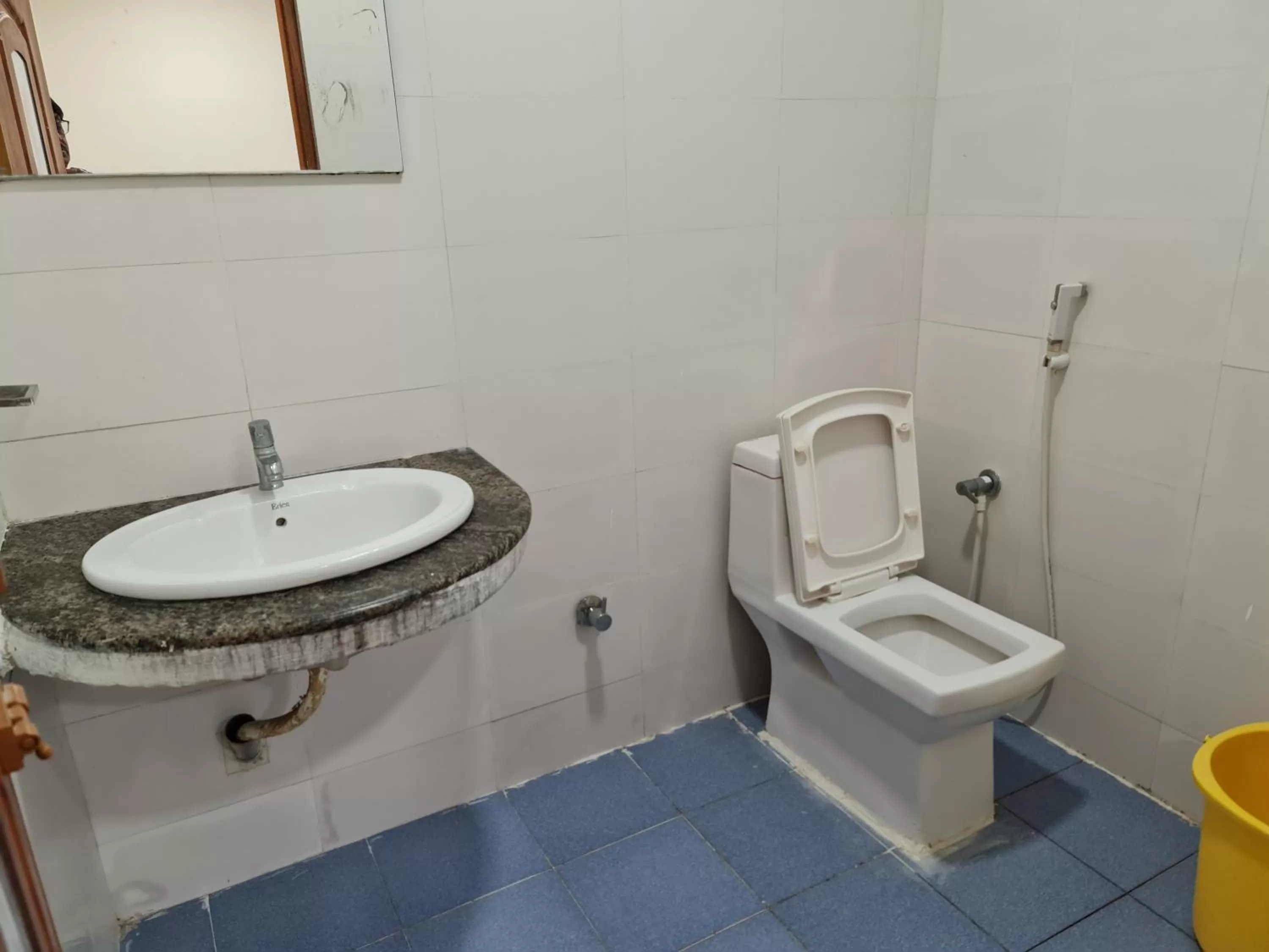 Bathroom in Vijay Shree Inn