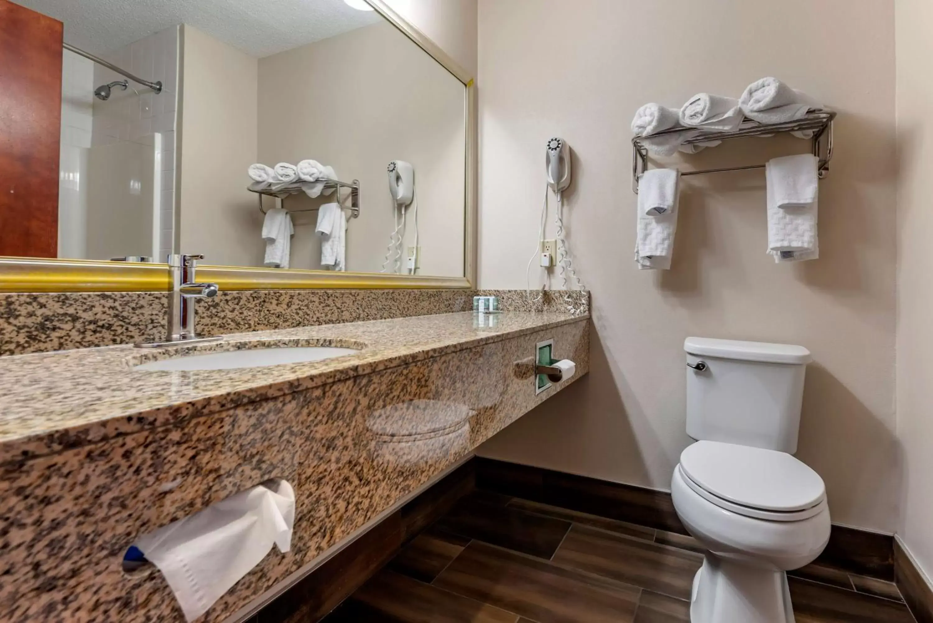 Photo of the whole room, Bathroom in Best Western the Inn at the Fairgrounds