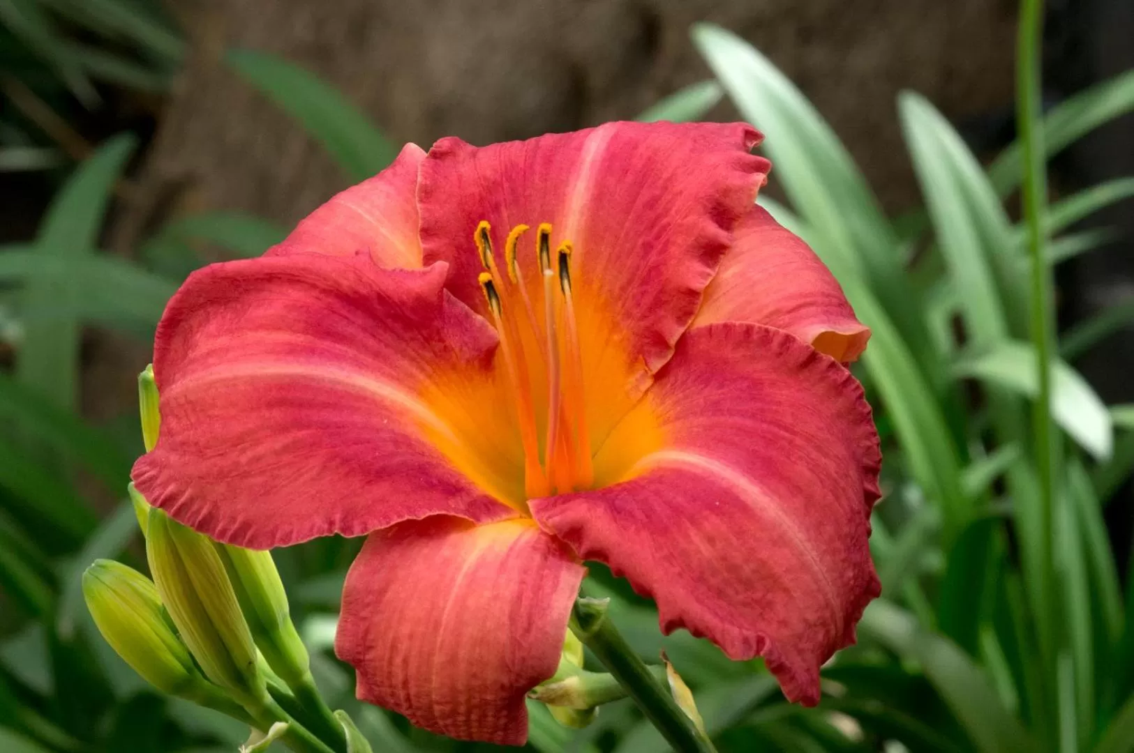 Hôtel A casa di Maria Cicilia