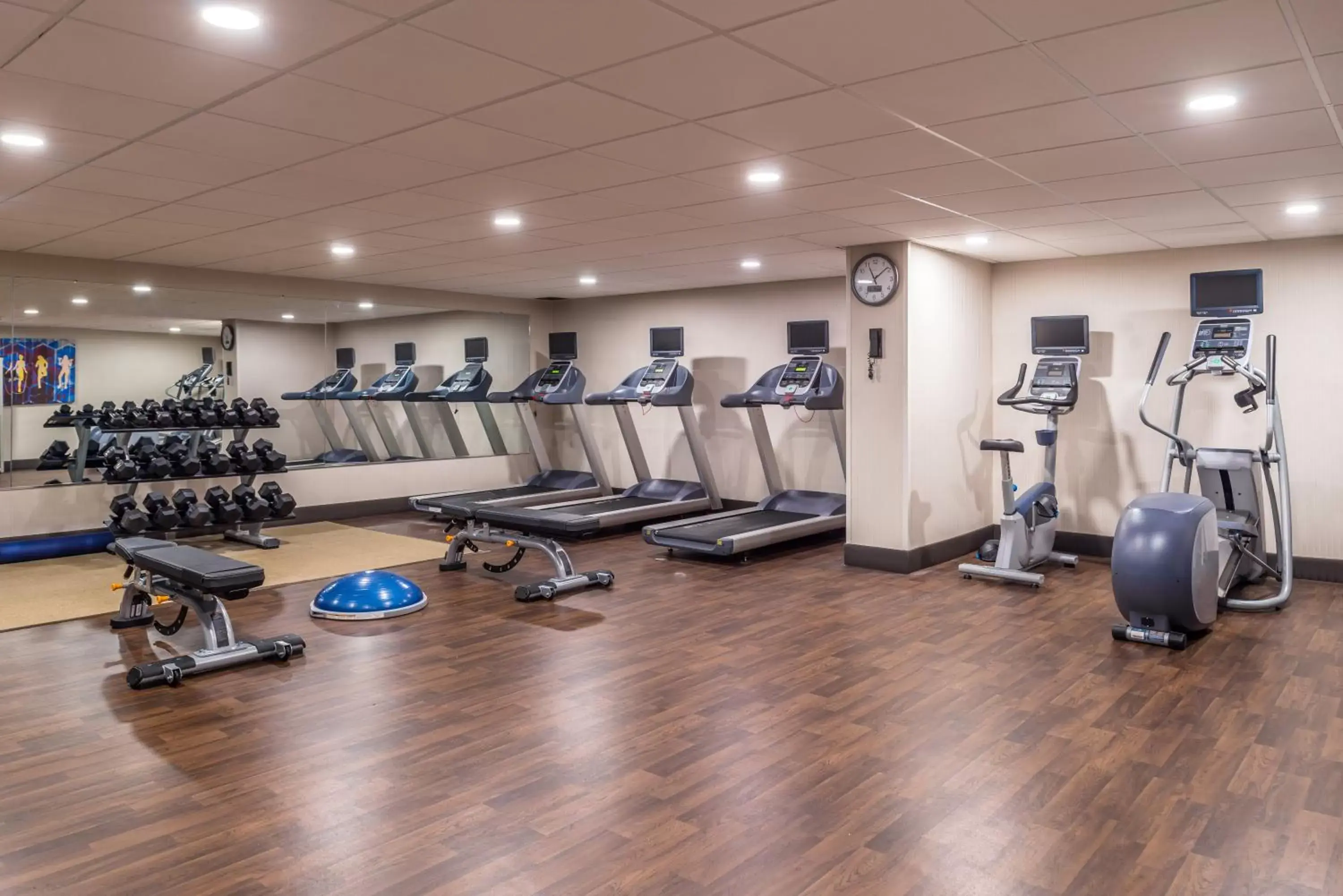 Fitness centre/facilities, Fitness Center/Facilities in Holiday Inn Auburn-Finger Lakes Region, an IHG Hotel