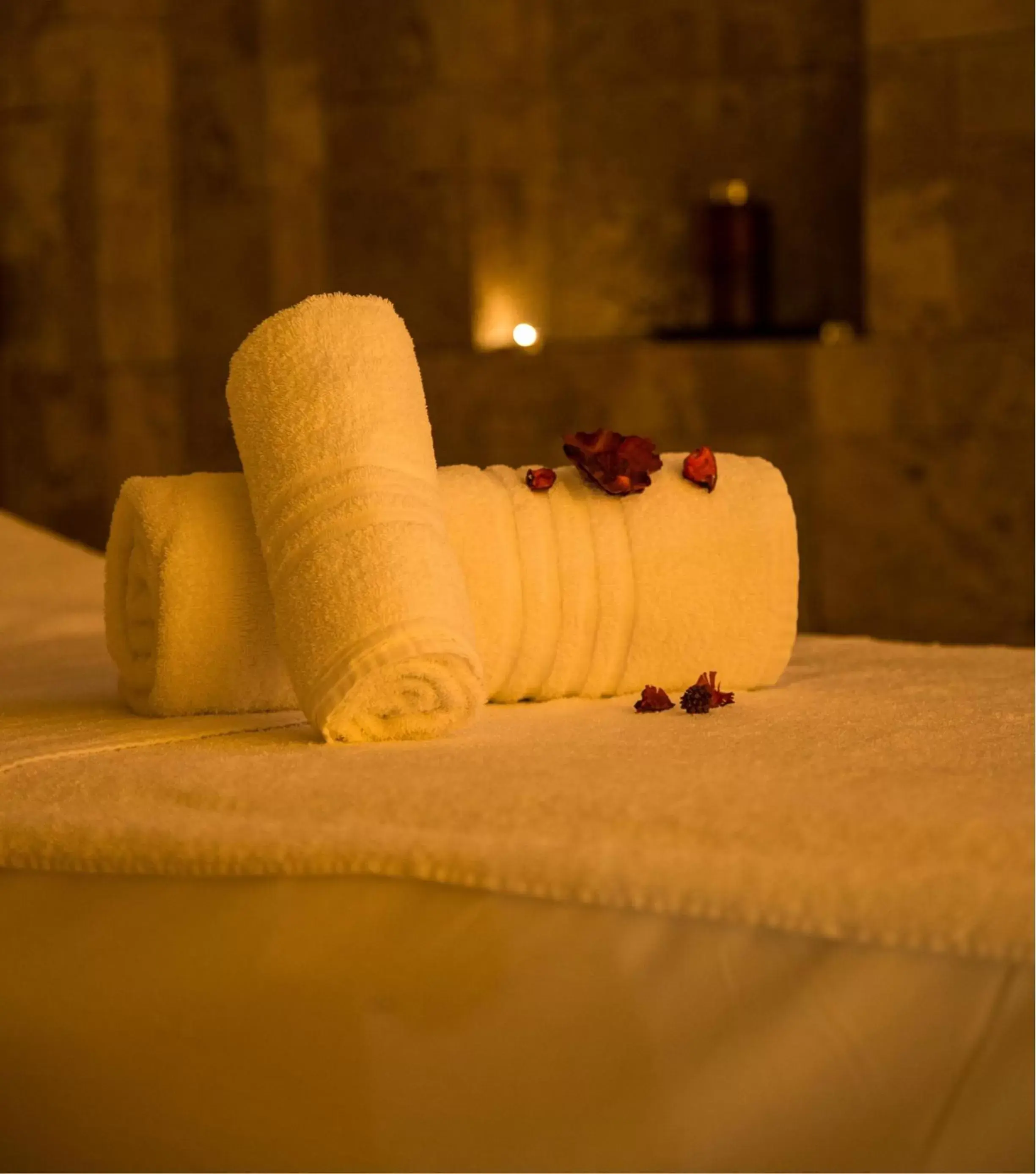 Spa and wellness centre/facilities in Best Western Plus Hotel Genova