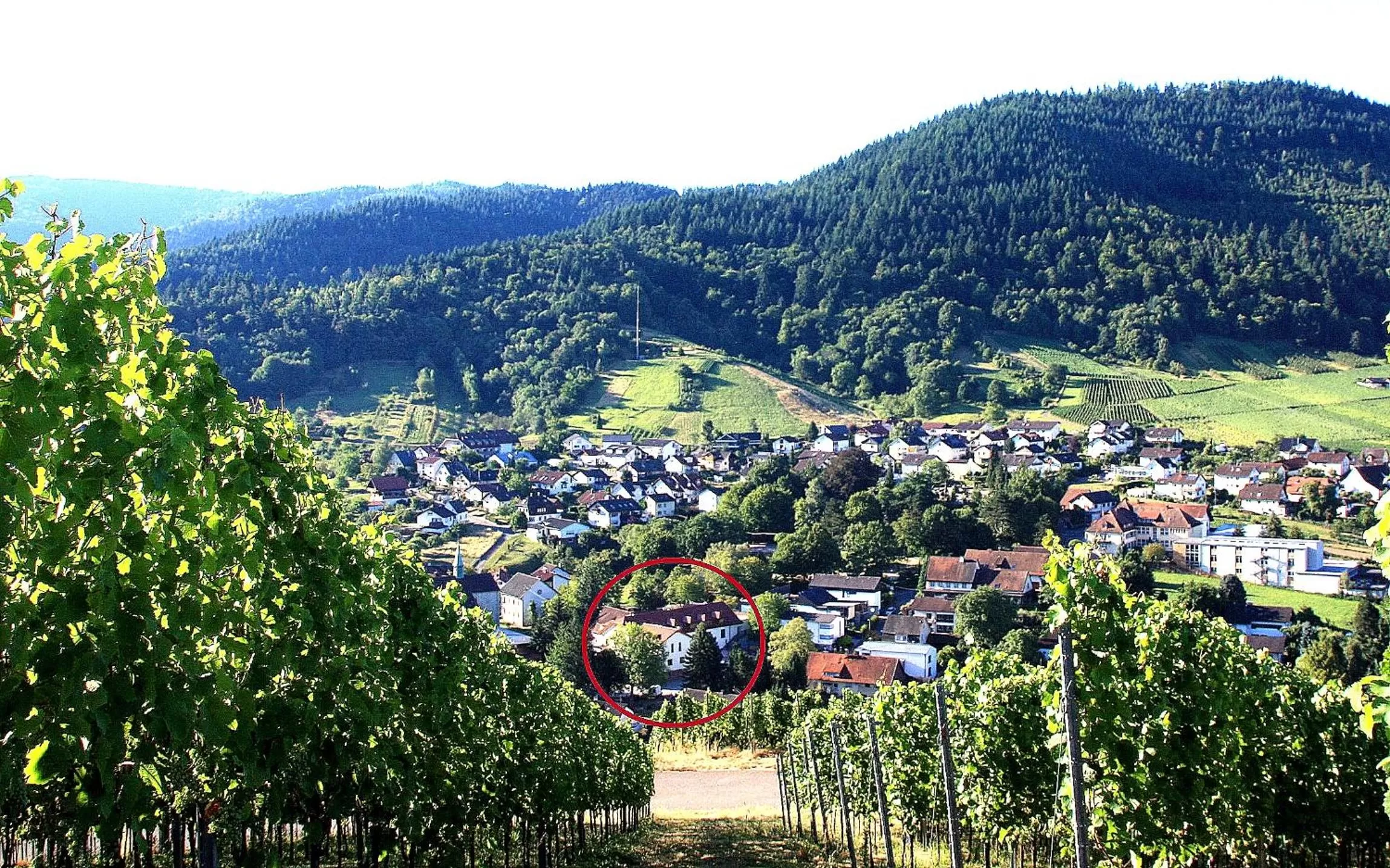 Other in Hotel Rebstock