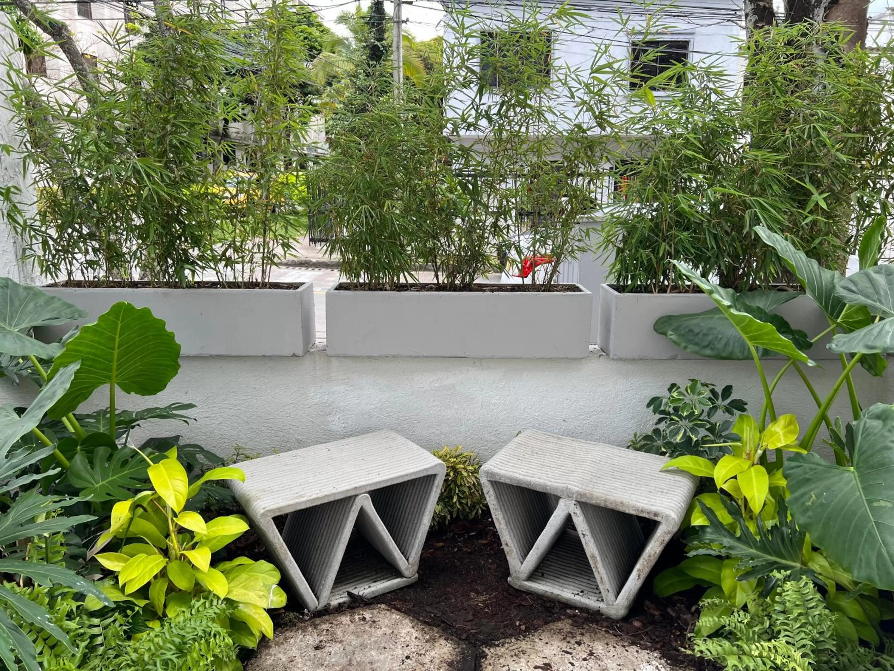 Garden in HOTEL 9.5 SAN FERNANDO