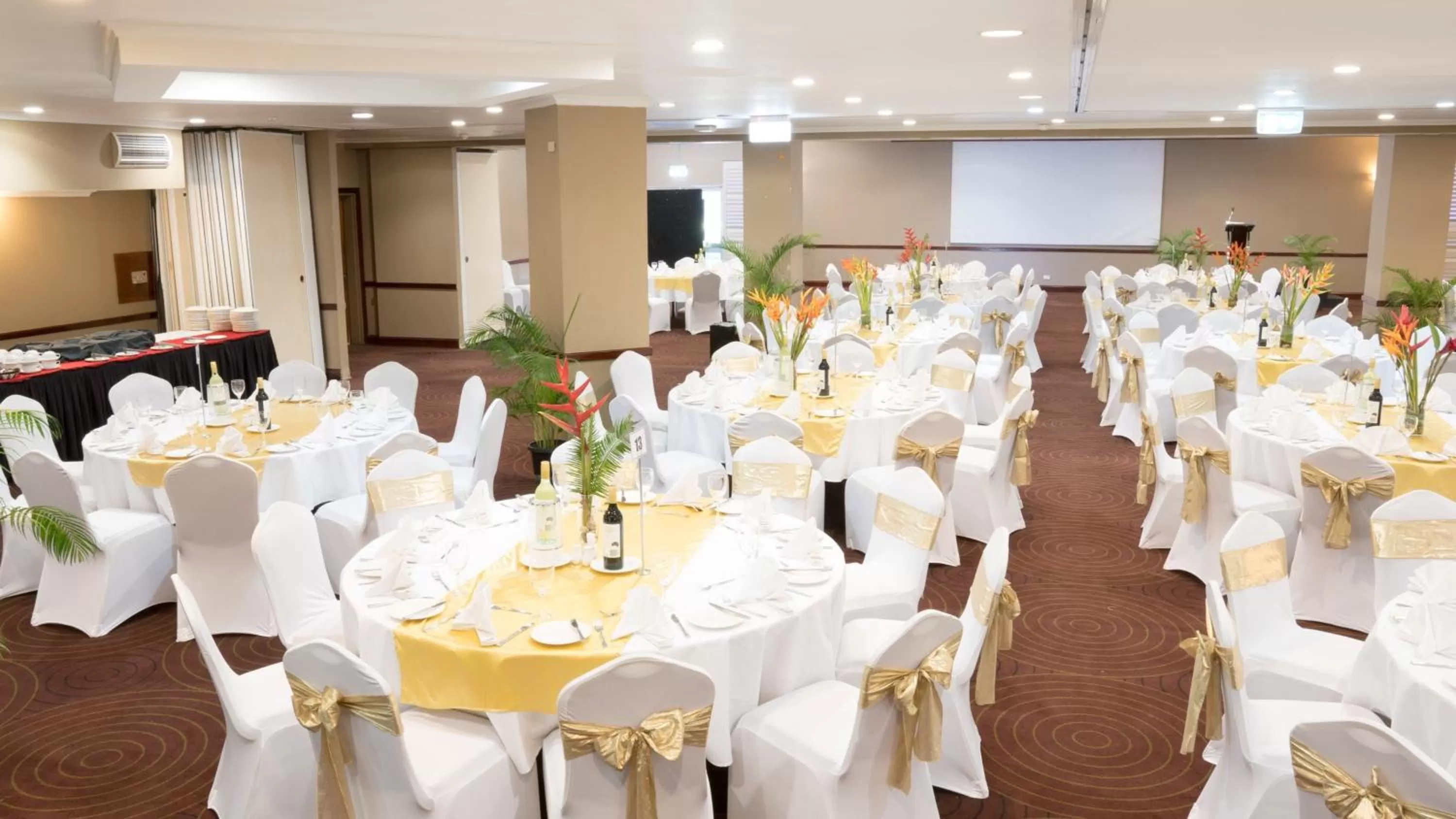 Banquet/Function facilities in Holiday Inn & Suites Port Moresby by IHG