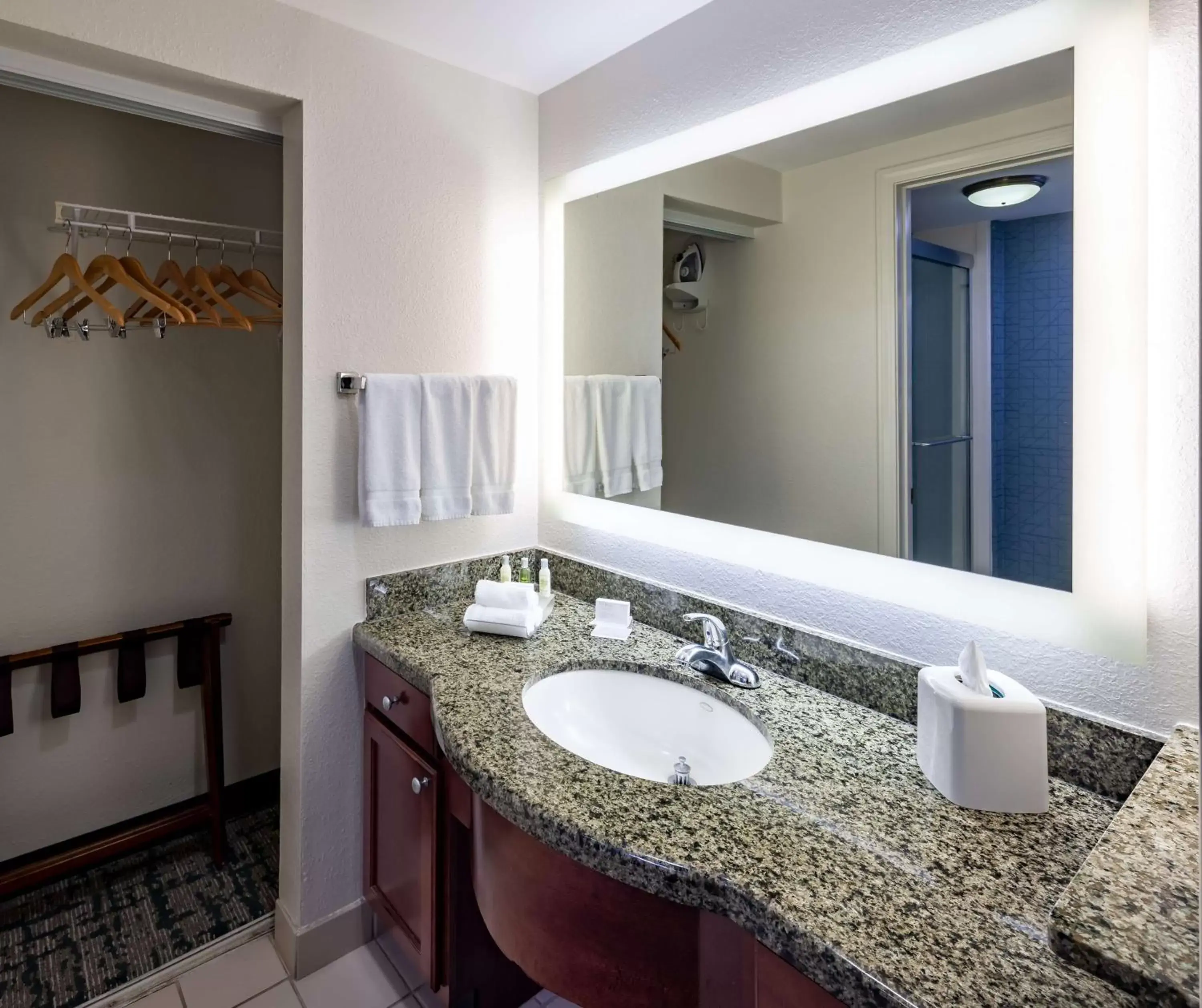 Bathroom in Homewood Suites by Hilton Jacksonville-South/St. Johns Ctr.