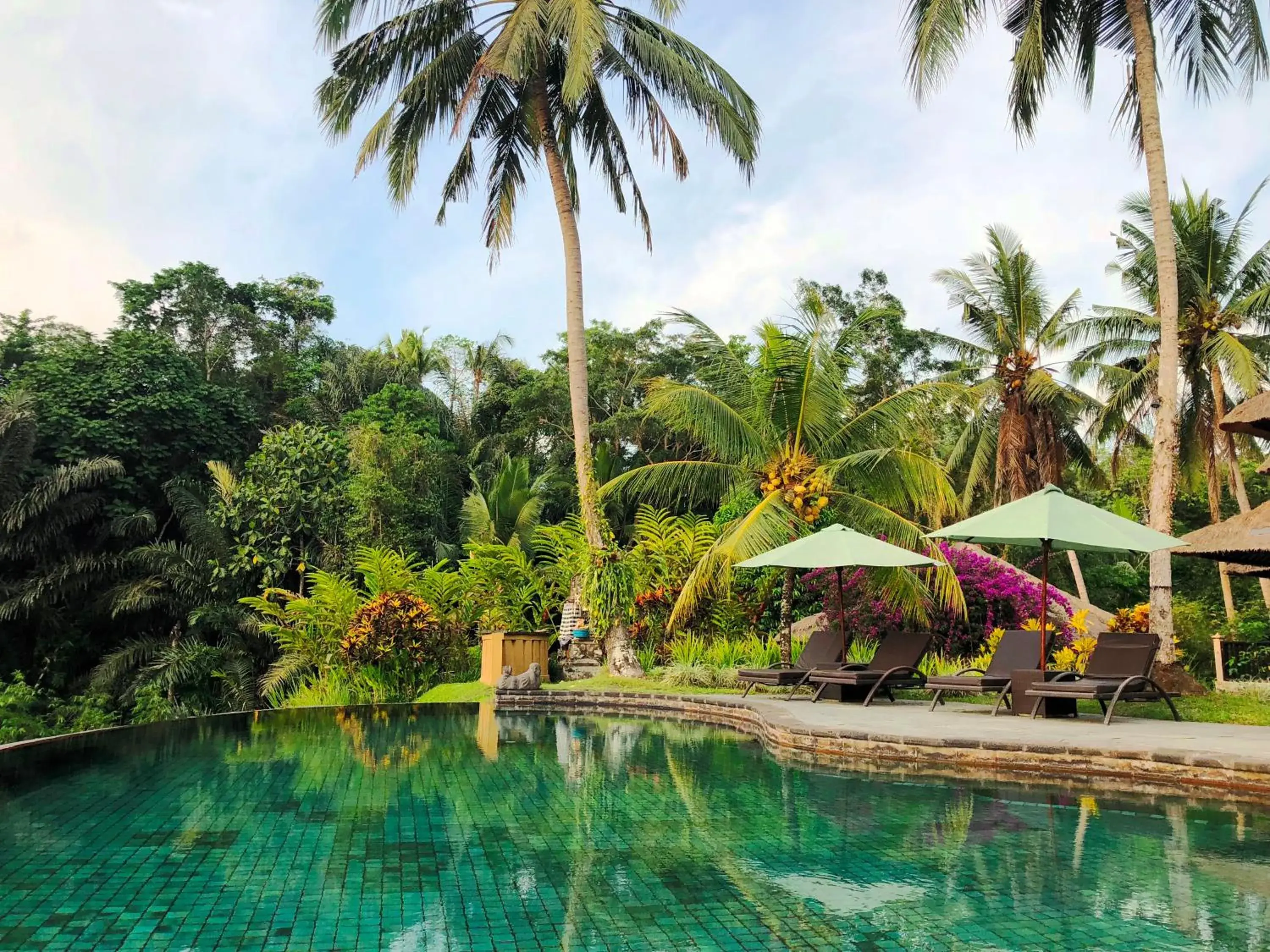 Swimming Pool in Villa Semana