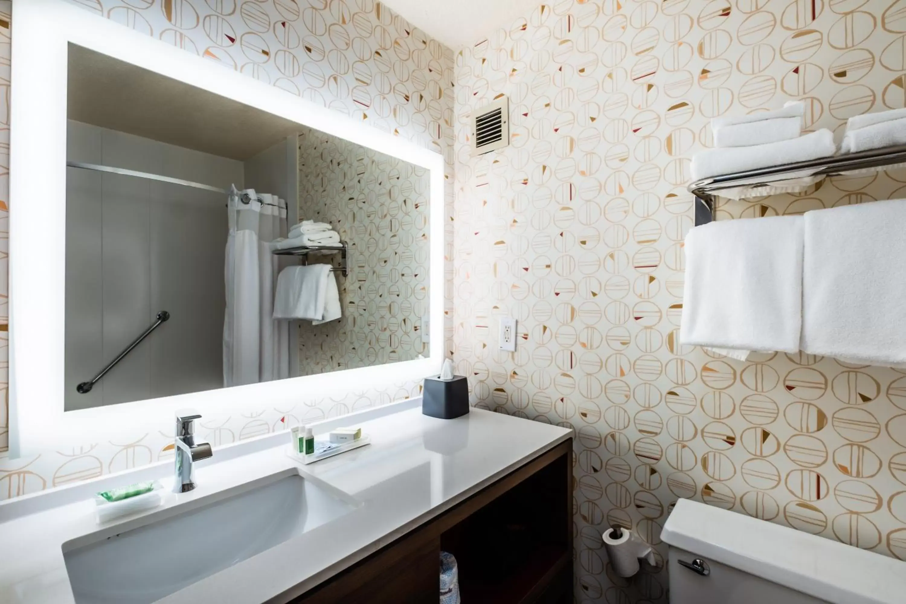 Bathroom in Holiday Inn Grand Haven-Spring Lake, an IHG Hotel