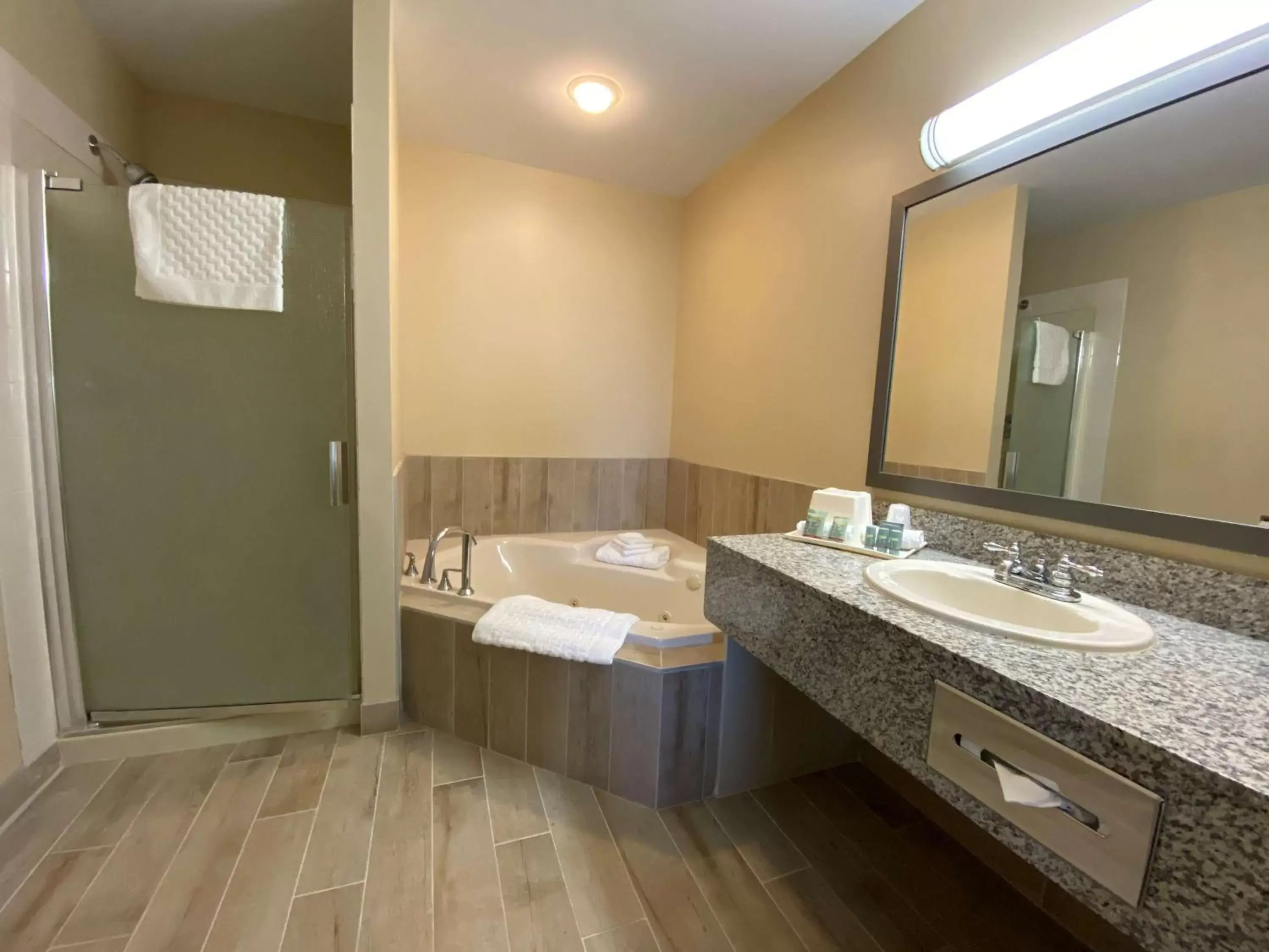 Hot Tub, Bathroom in Best Western Strathmore Inn