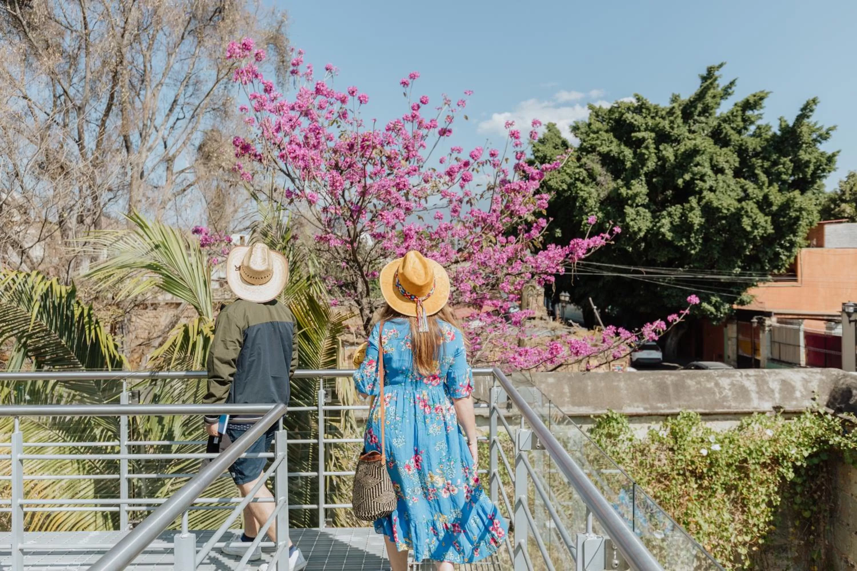 Location in Majagua Hotel Boutique -Adults Only