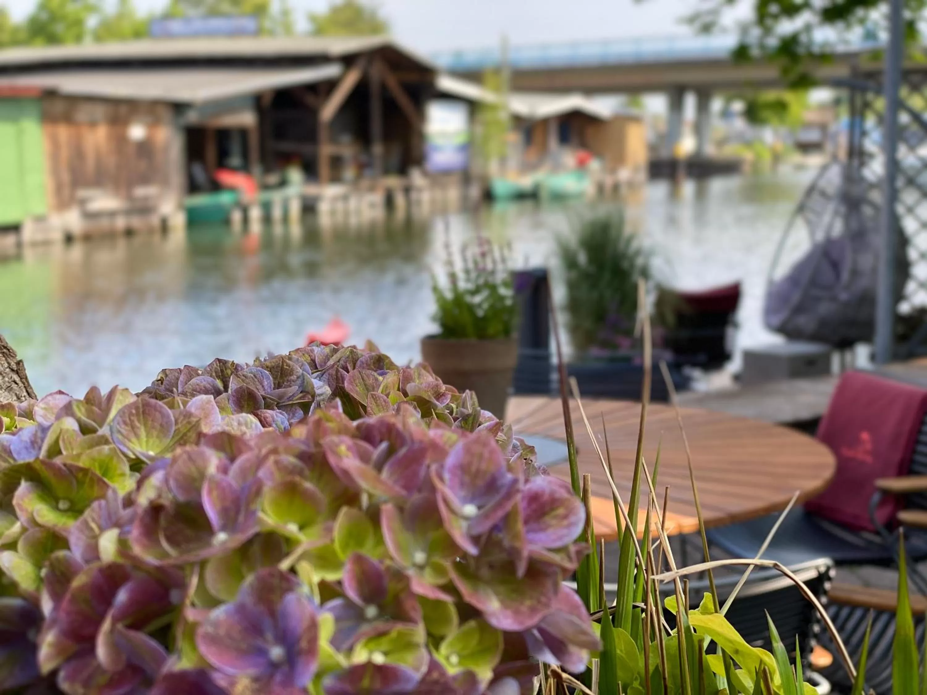 Spring in Hotel & Restaurant Fackelgarten Plau am See