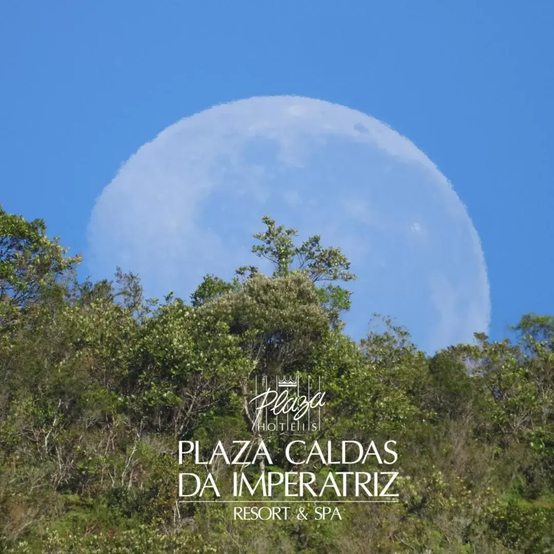 Natural landscape, Property Logo/Sign in Plaza Caldas da Imperatriz Resort & Spa