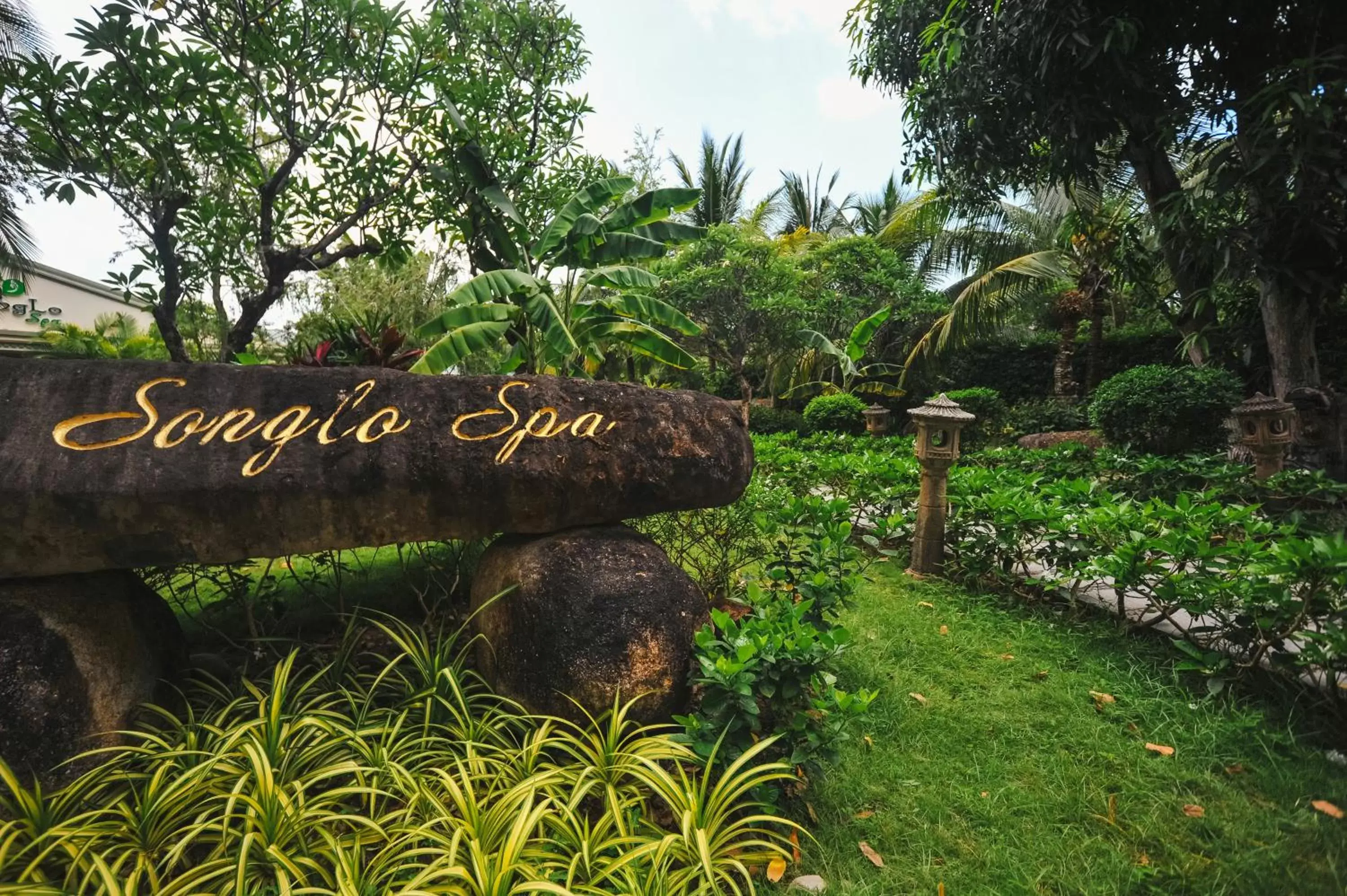 Garden in Diamond Bay Resort & Spa