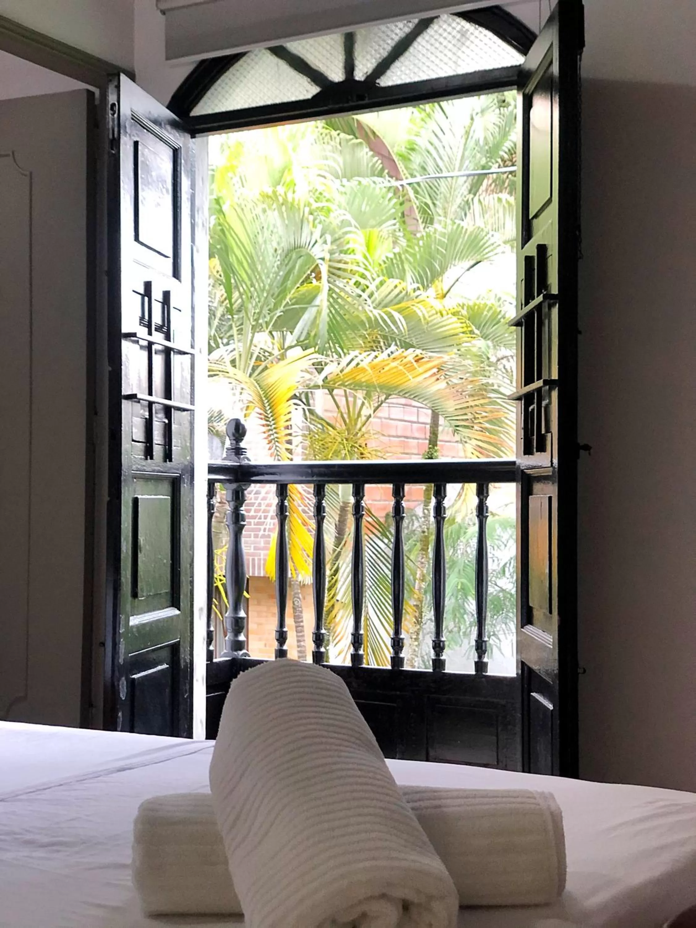 Garden view in Casa Rosales