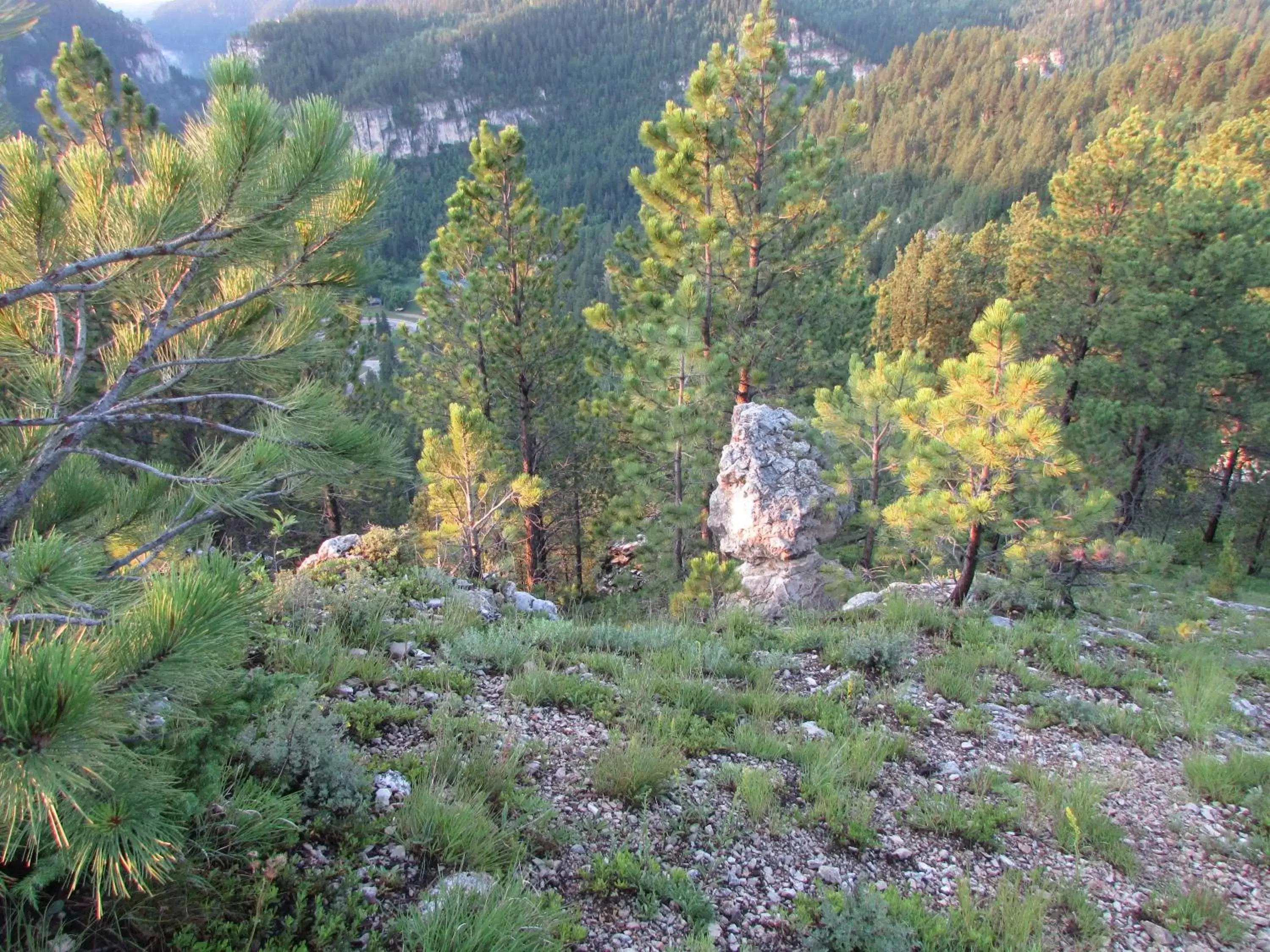 Natural Landscape in Spearfish Canyon Lodge