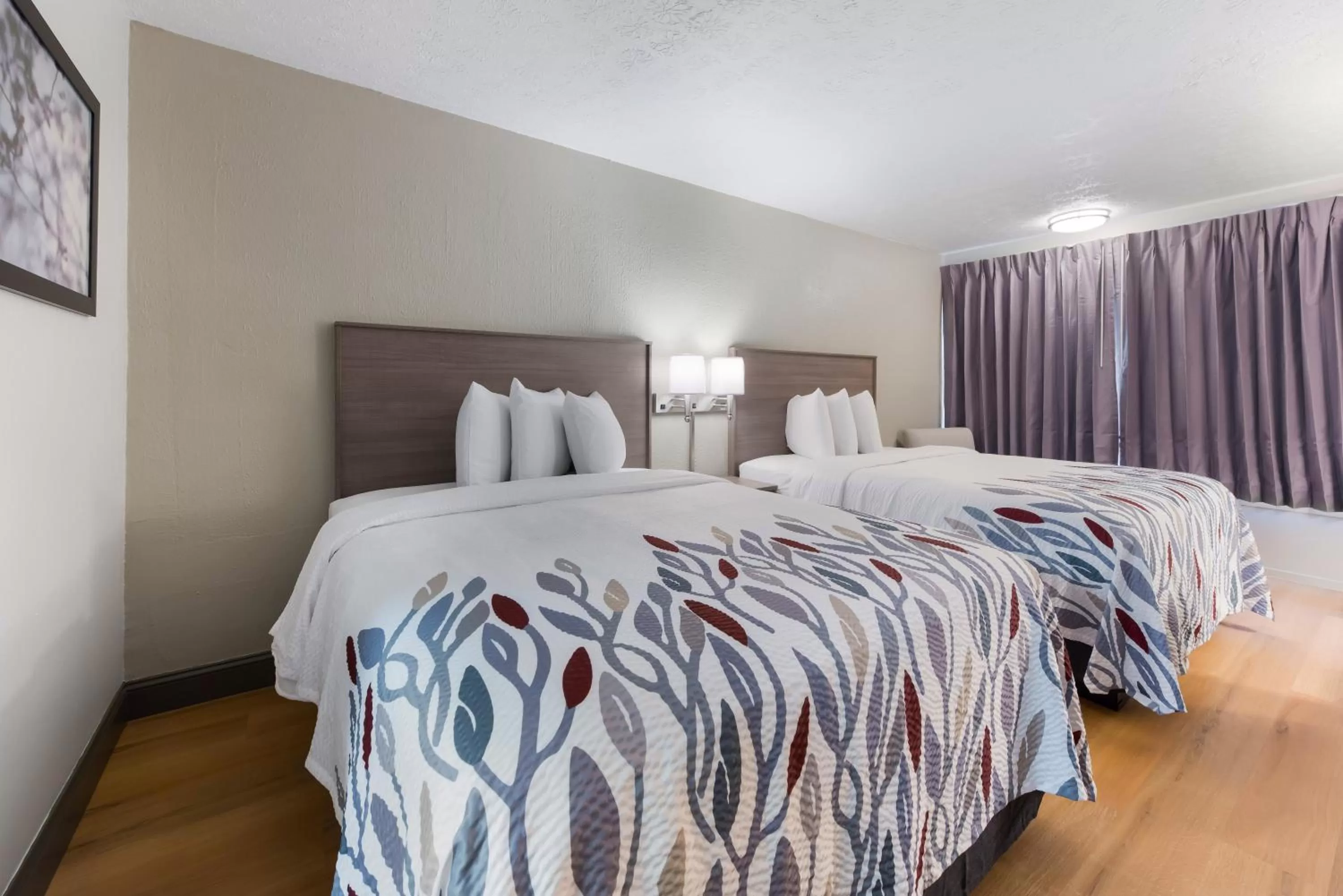 Photo of the whole room, Bed in Red Roof Inn Dayton - Moraine/U of Dayton