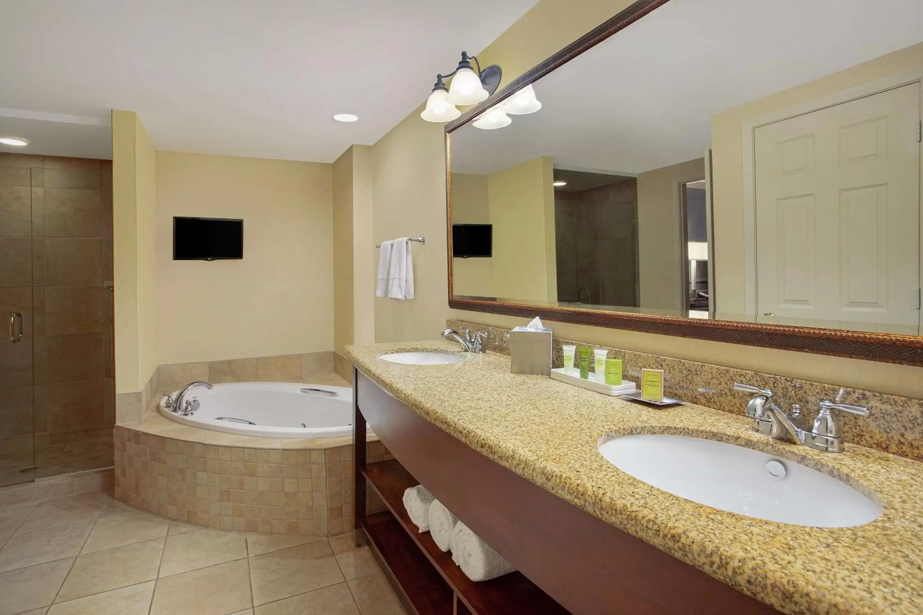 Bathroom in Hilton Jackson