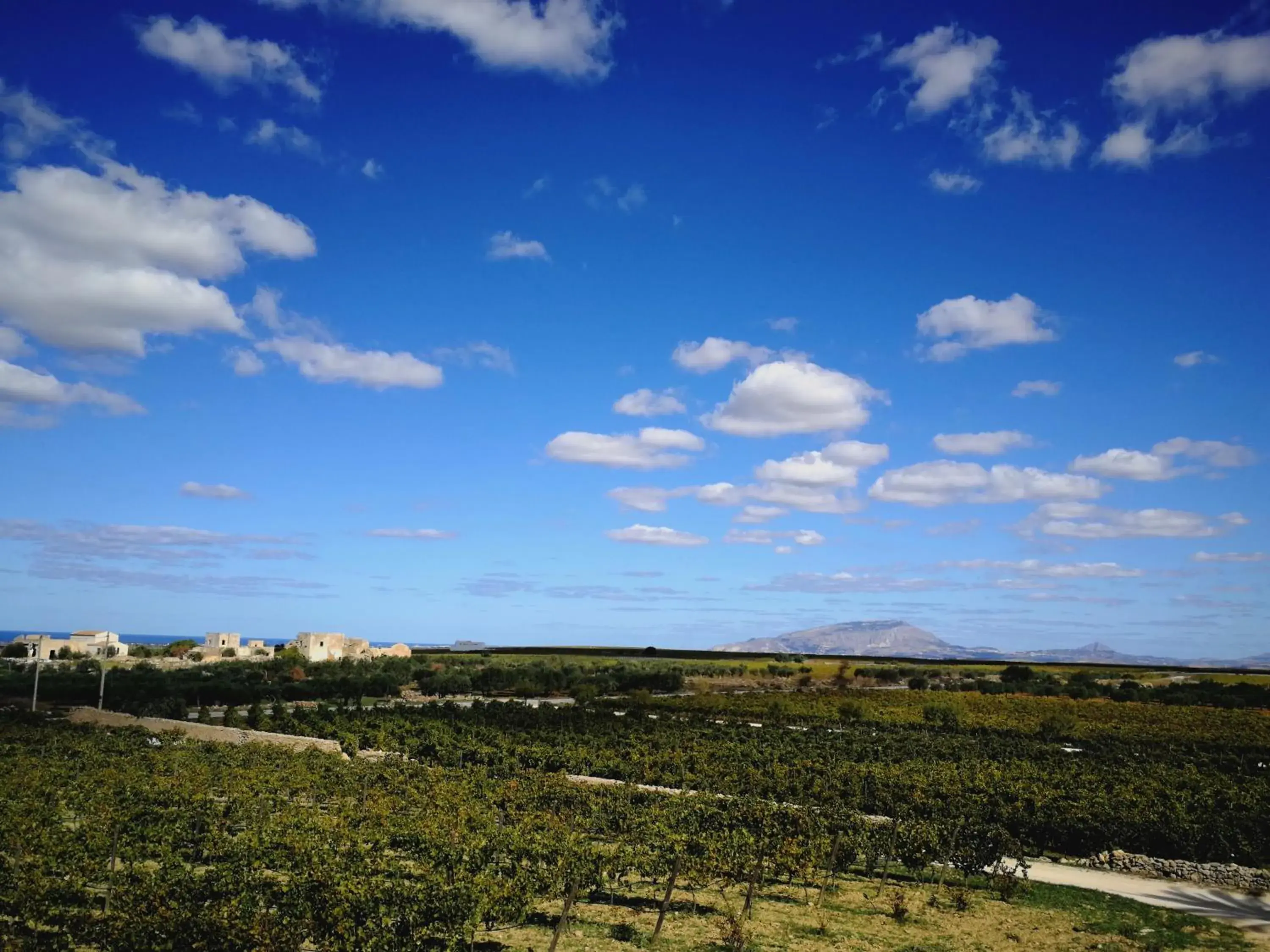 Natural landscape in Agriturismo Baglio Donnafranca Wine Resort