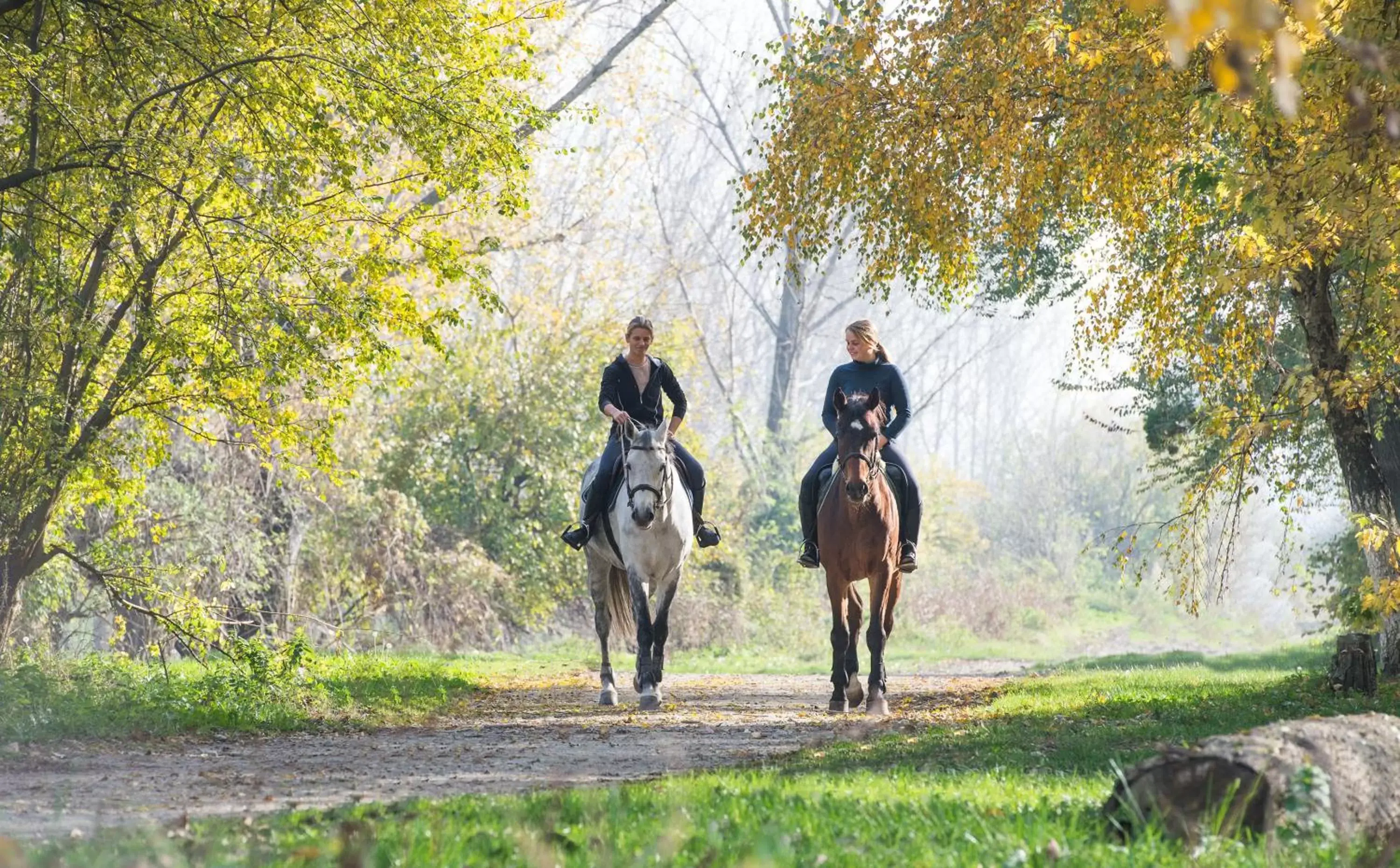Off site, Horseback Riding in Le Clos des Écureuils