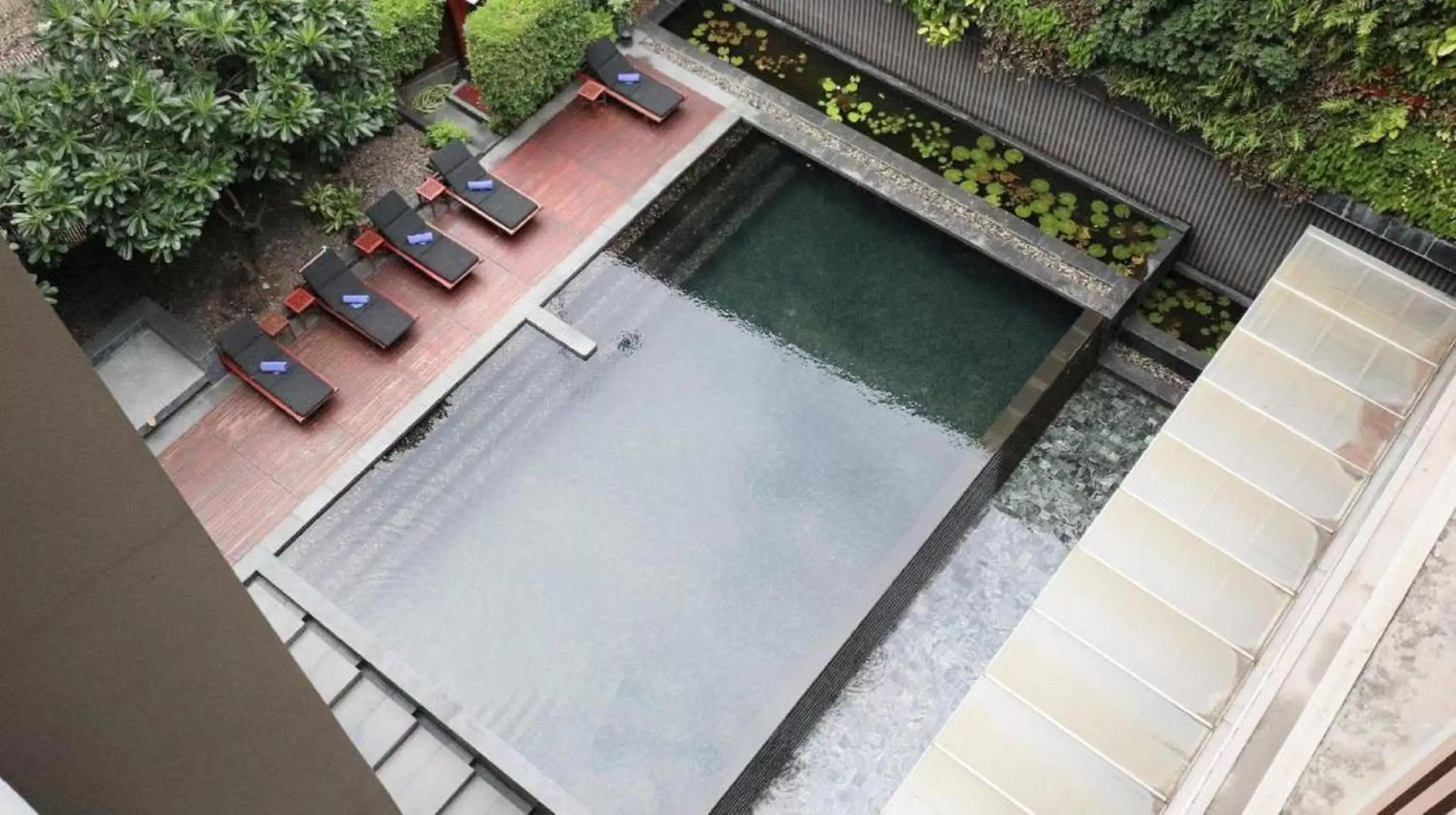 Pool View in Arcadia Suites Bangkok