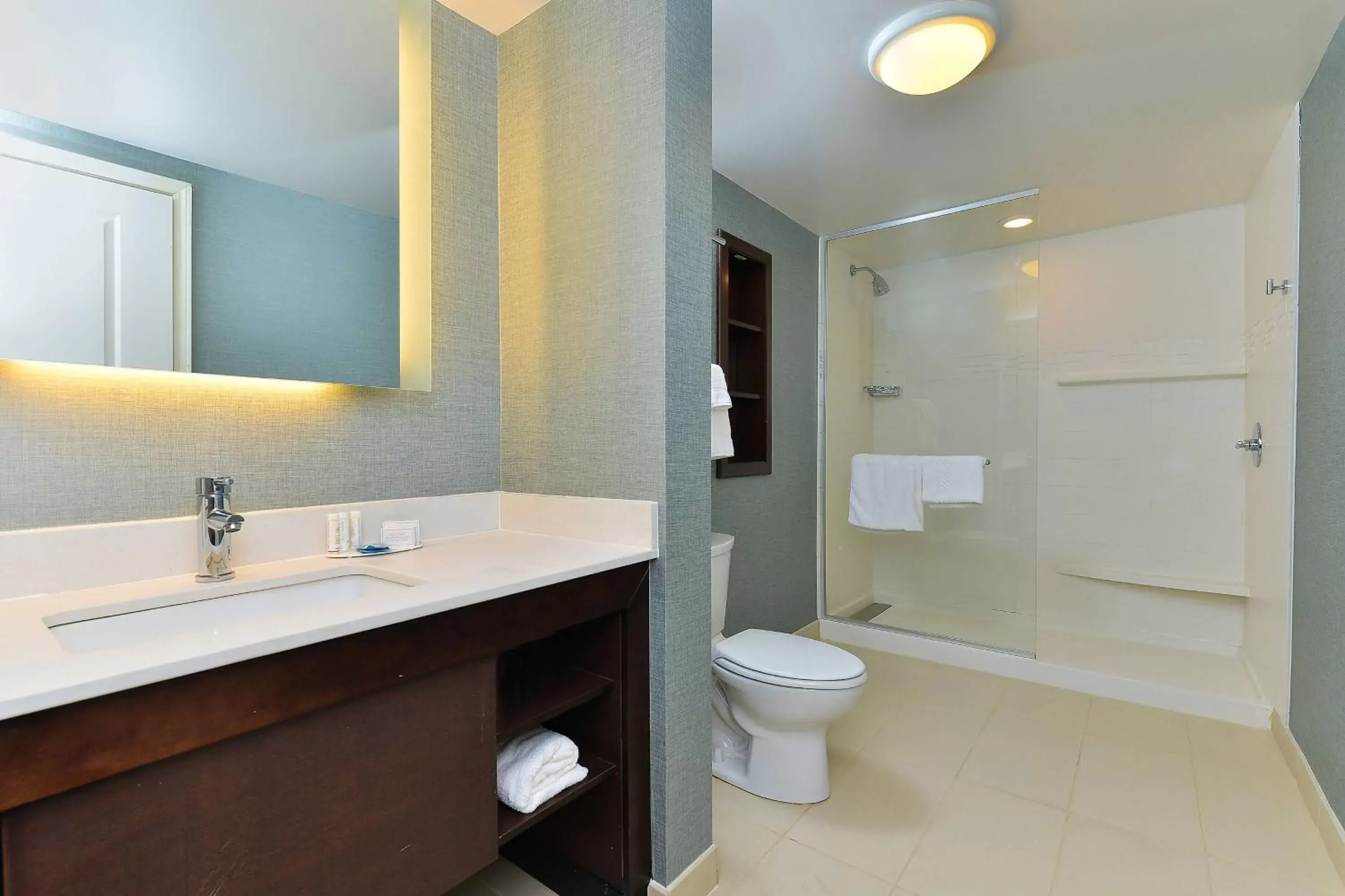 Bathroom in Residence Inn by Marriott Champaign