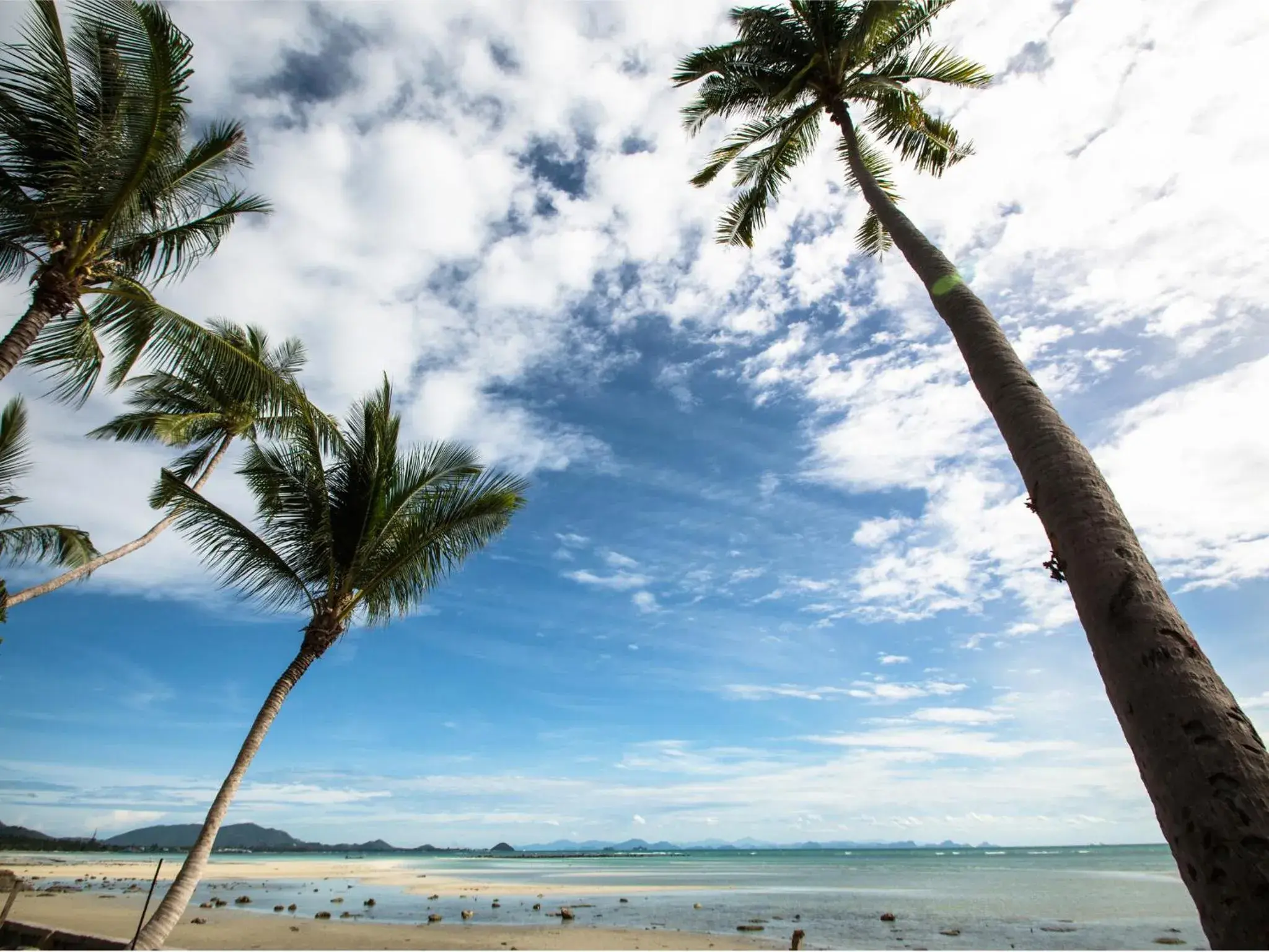 Sea view, Beach in The Mud - Eco Hotel