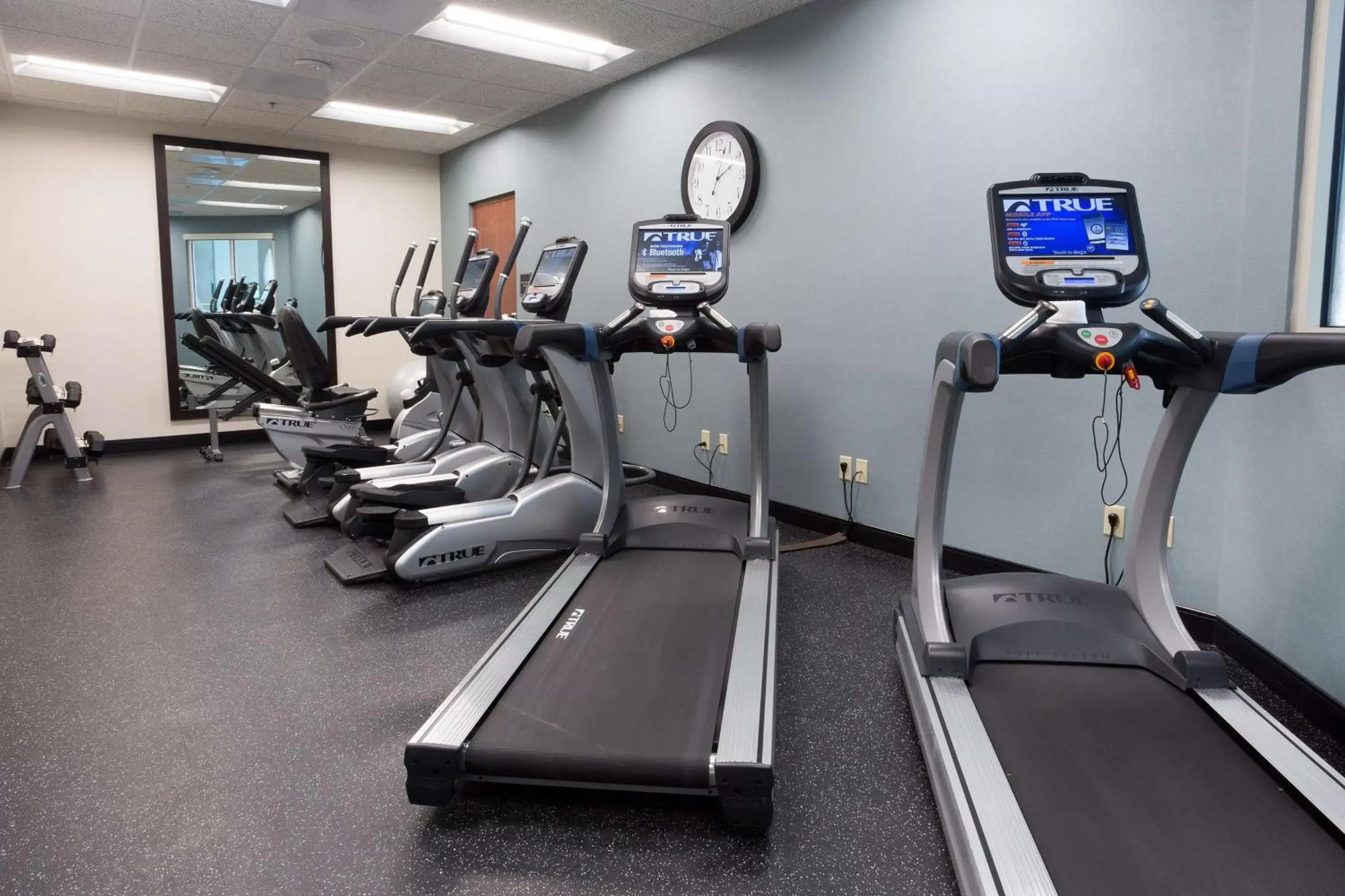 Activities, Fitness Center/Facilities in Drury Inn & Suites Grand Rapids