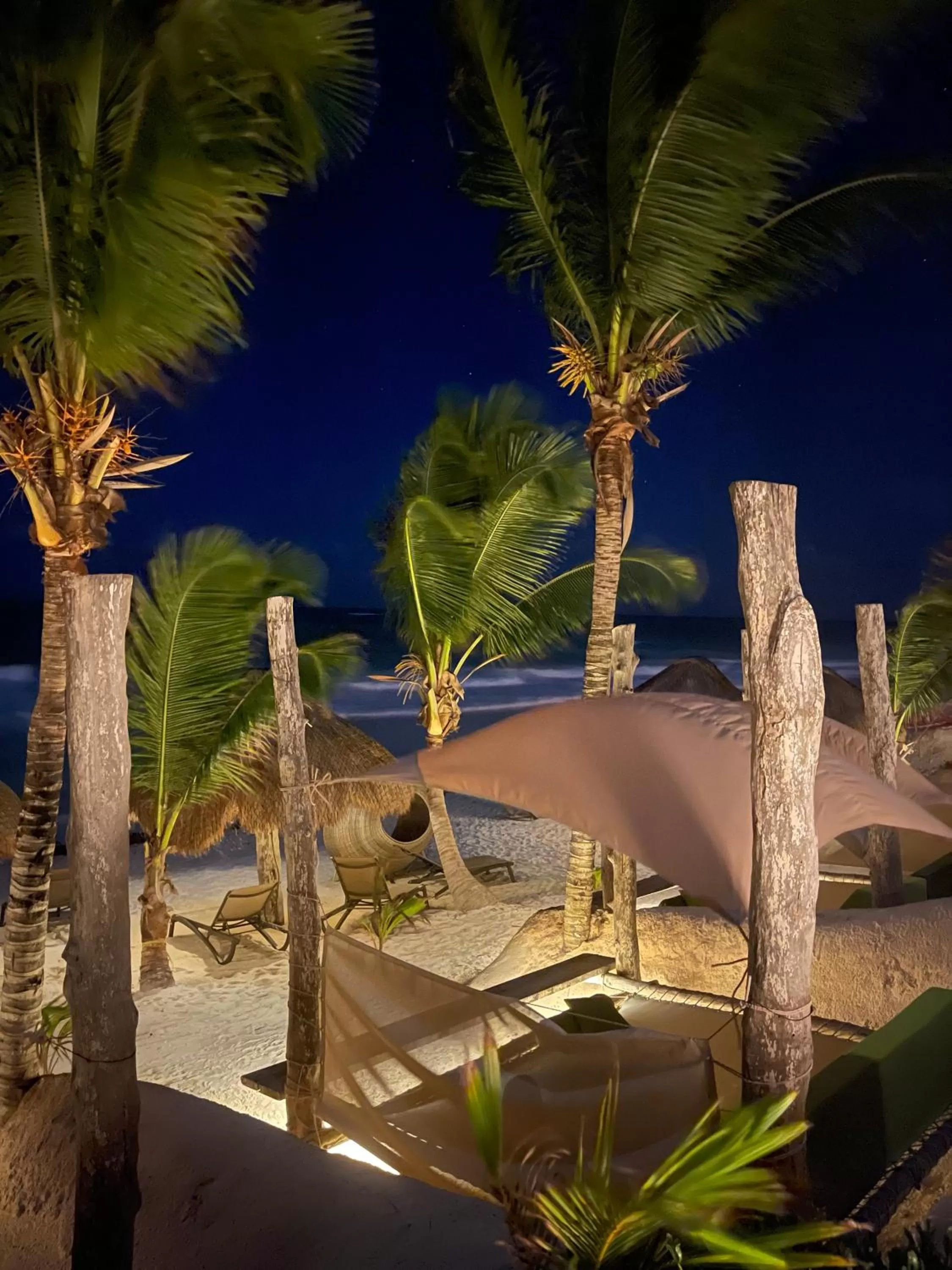 Beach, Restaurant/Places to Eat in Sueños Tulum