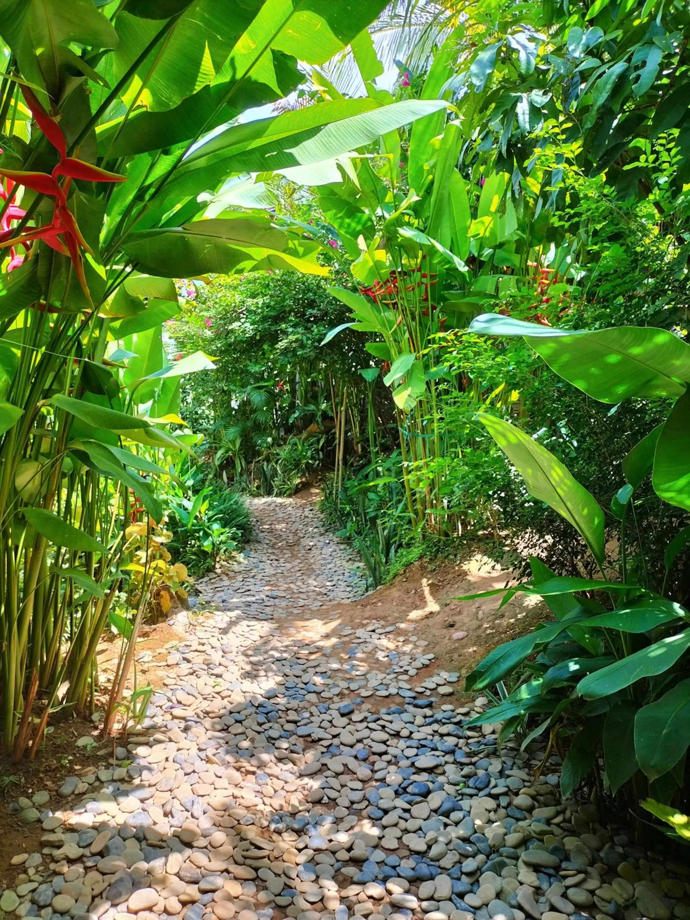 Garden in Terra Sancta Resort