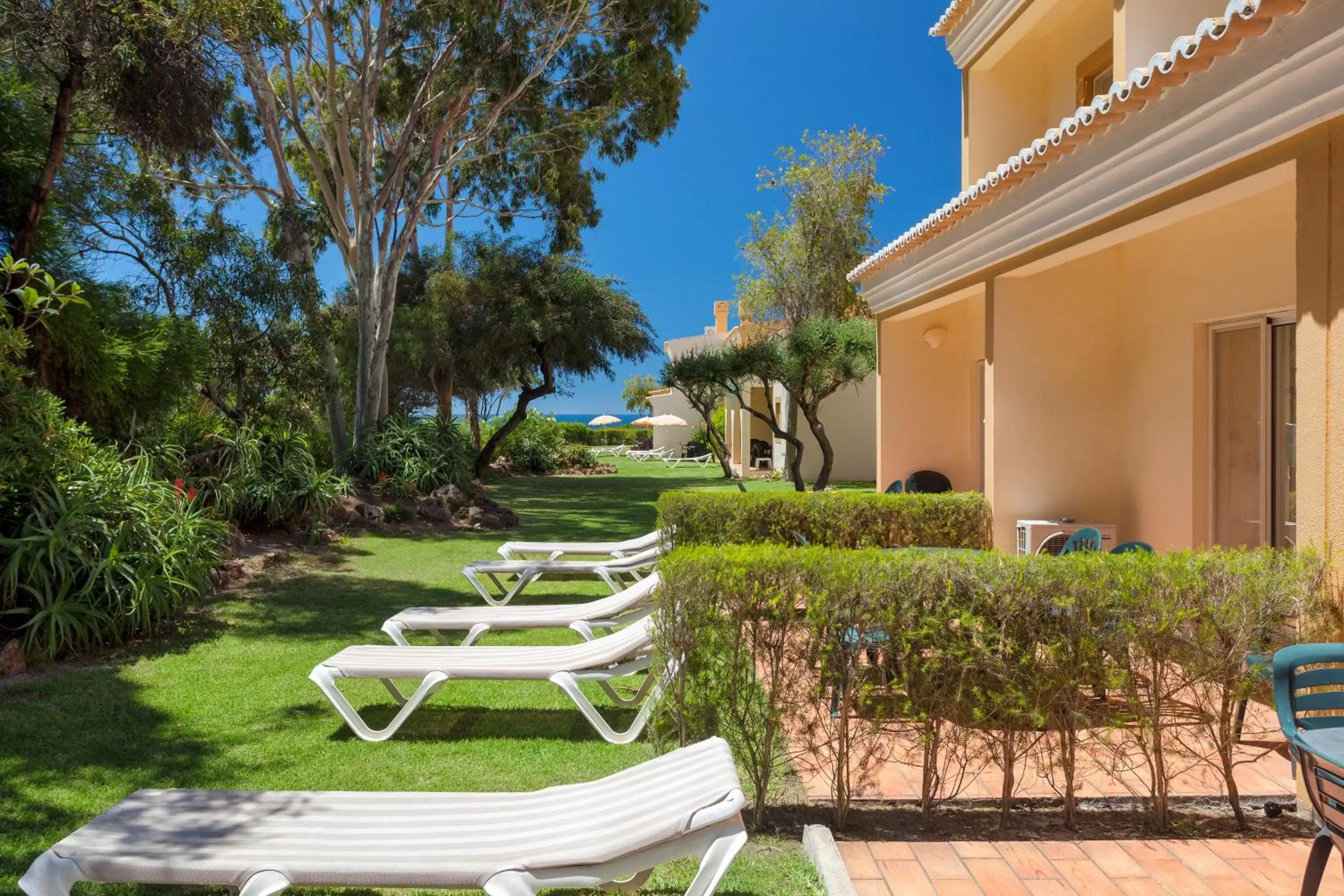 Garden in Pestana Palm Gardens