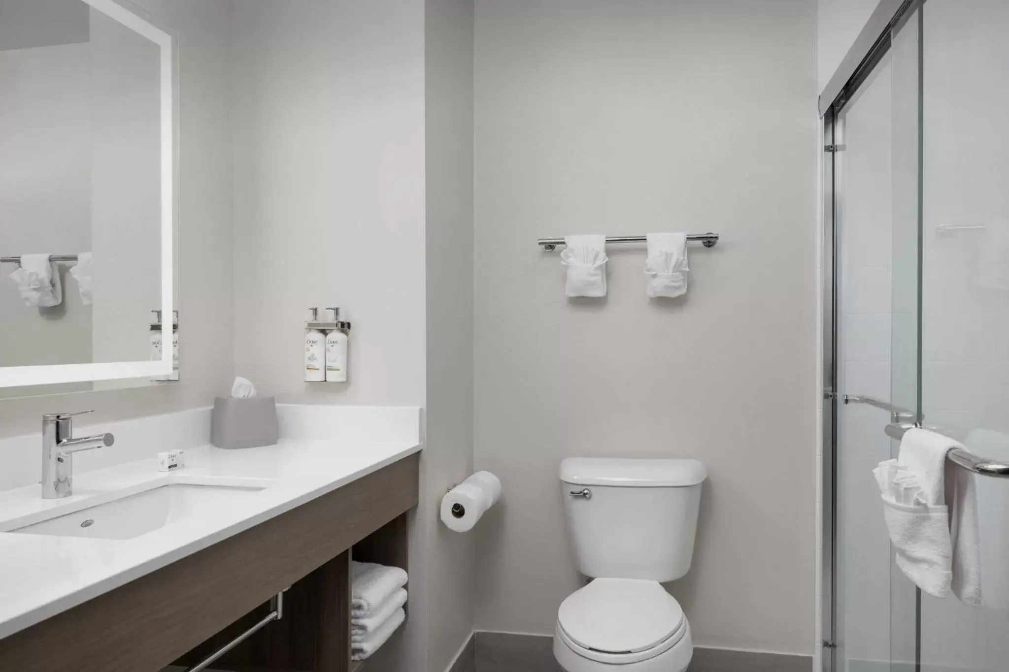 Bathroom in Holiday Inn Express & Suites Superior, an IHG Hotel