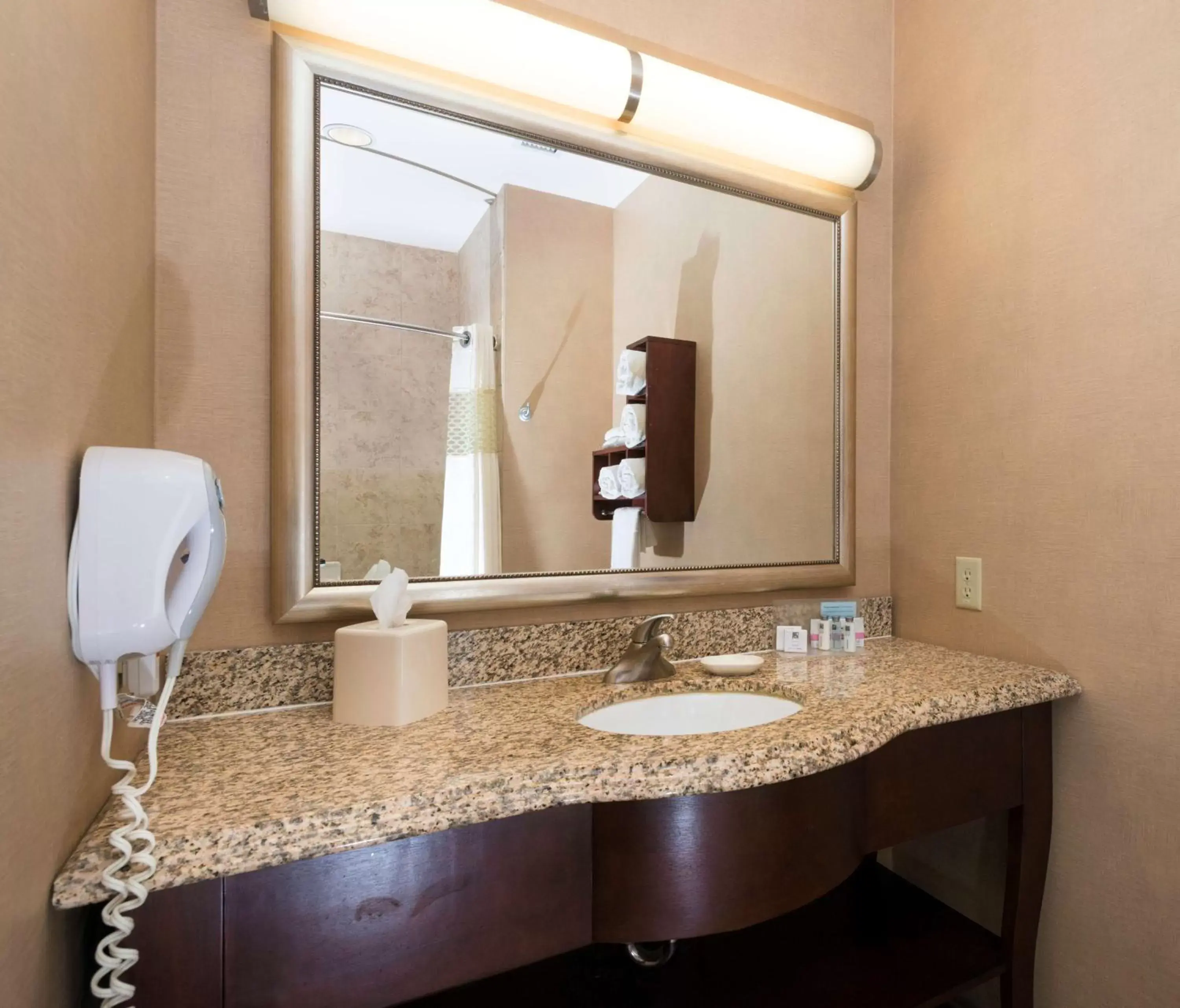 Bathroom in Hampton Inn & Suites Abilene I-20