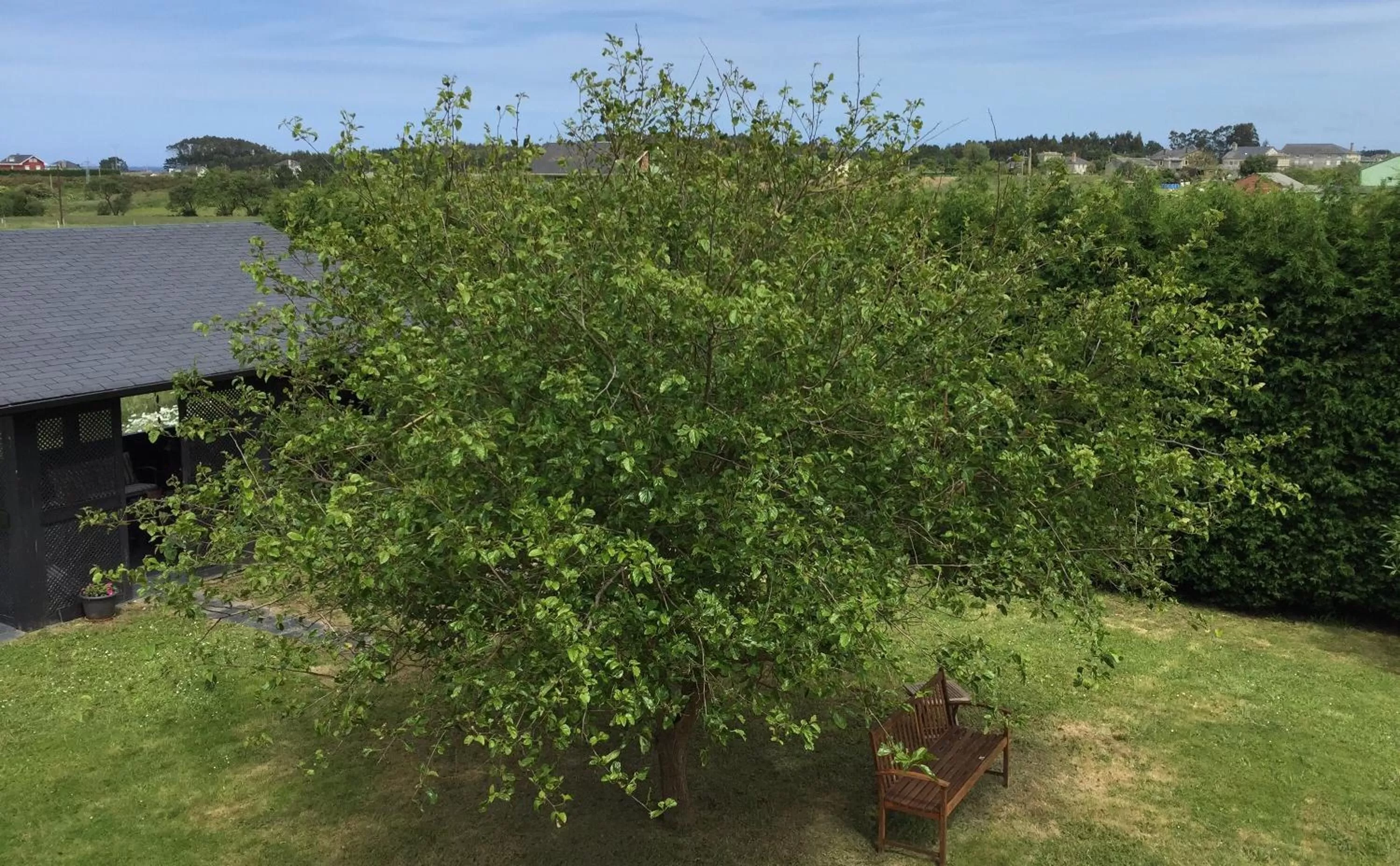 Garden in Hotel Mi Norte