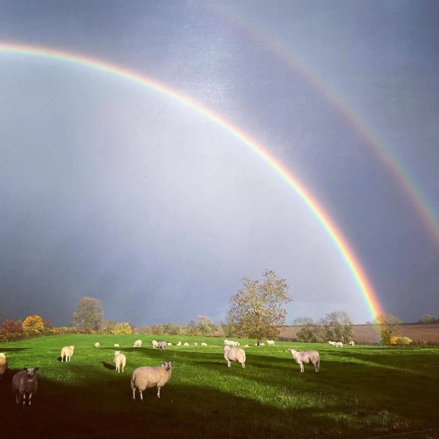 Carlton Corner Bed & Breakfast