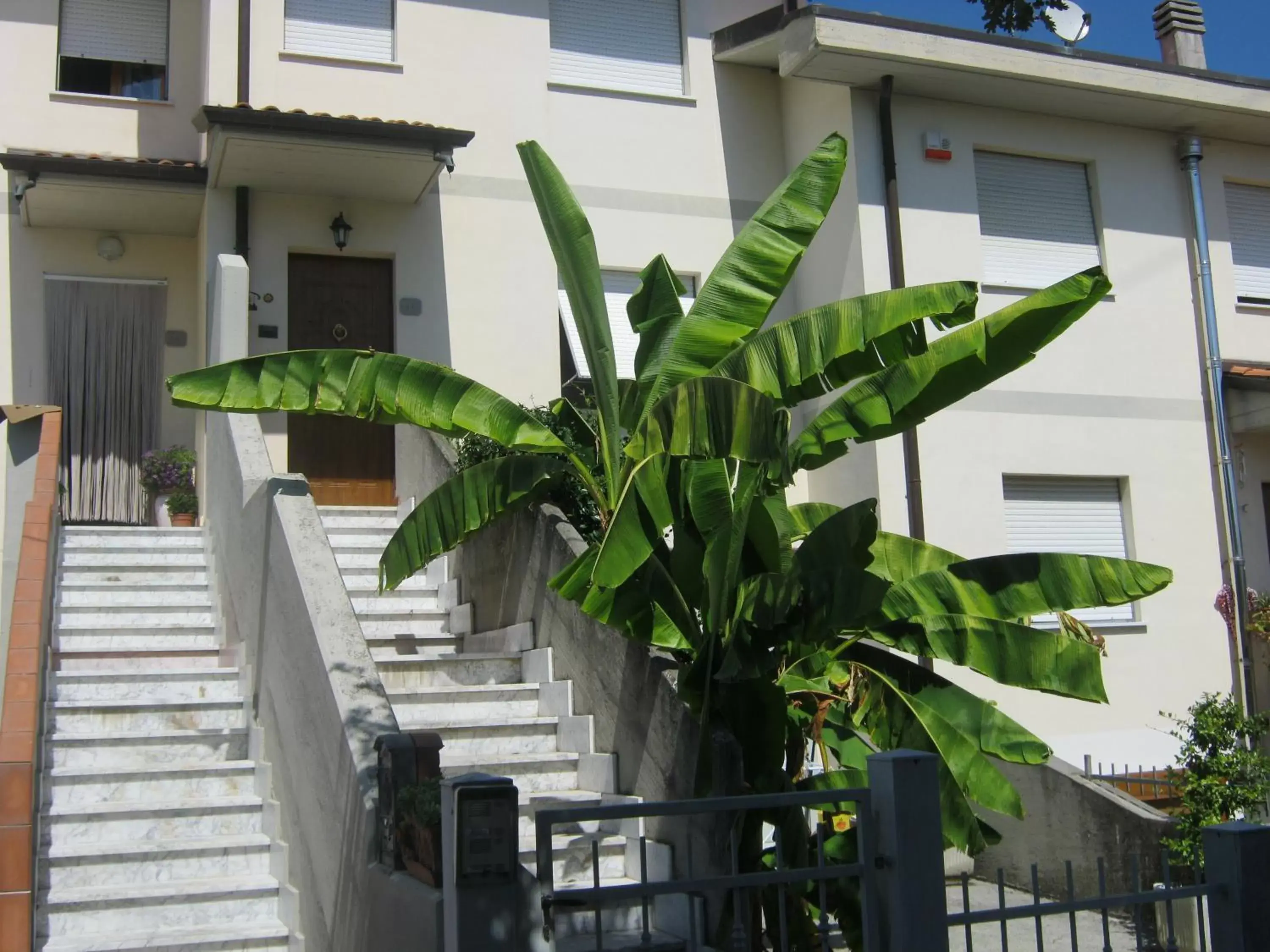 Facade/entrance in Il Melograno B&B