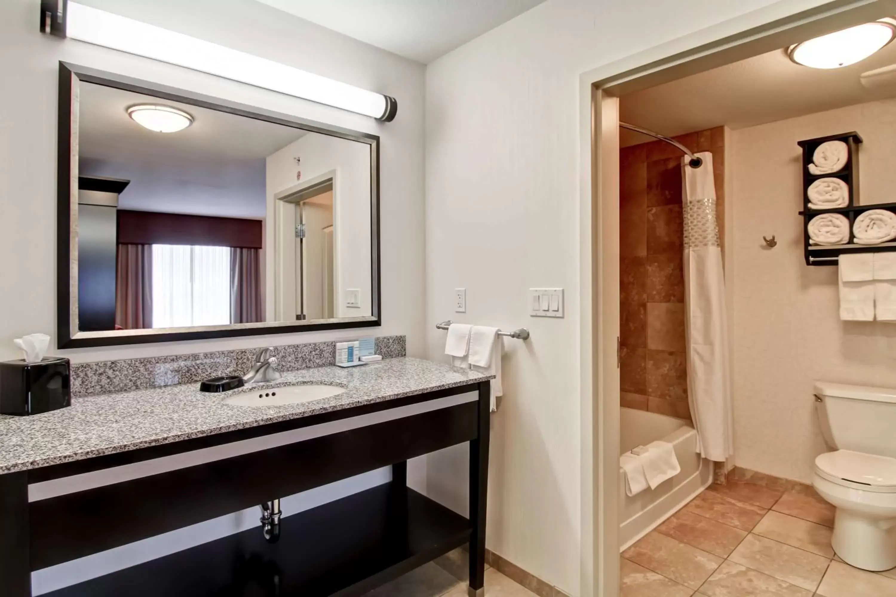 Bathroom in Hampton Inn & Suites Red Deer