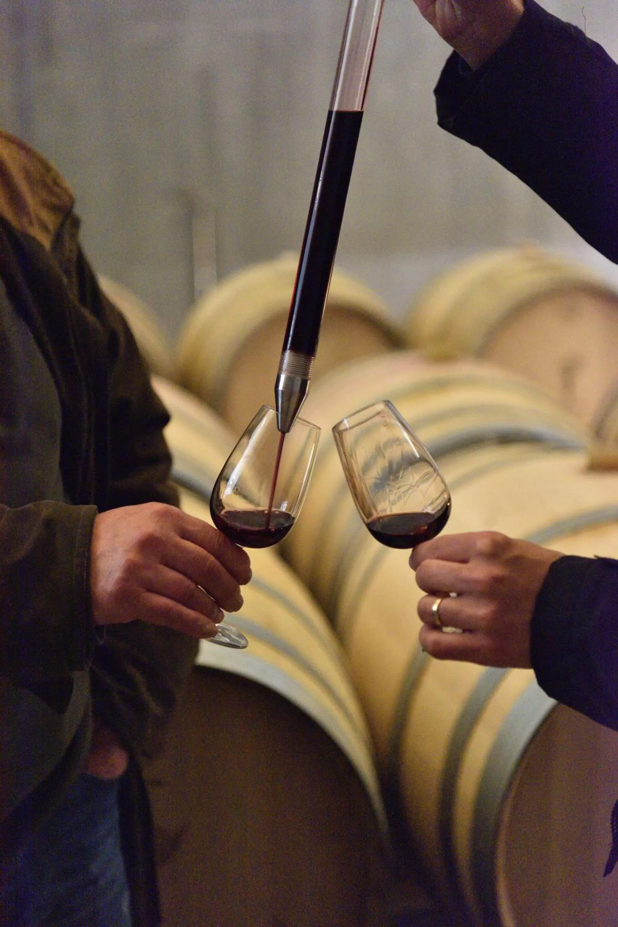 Drinks in Torre de Palma Wine Hotel, Monforte, a Member of Design Hotels