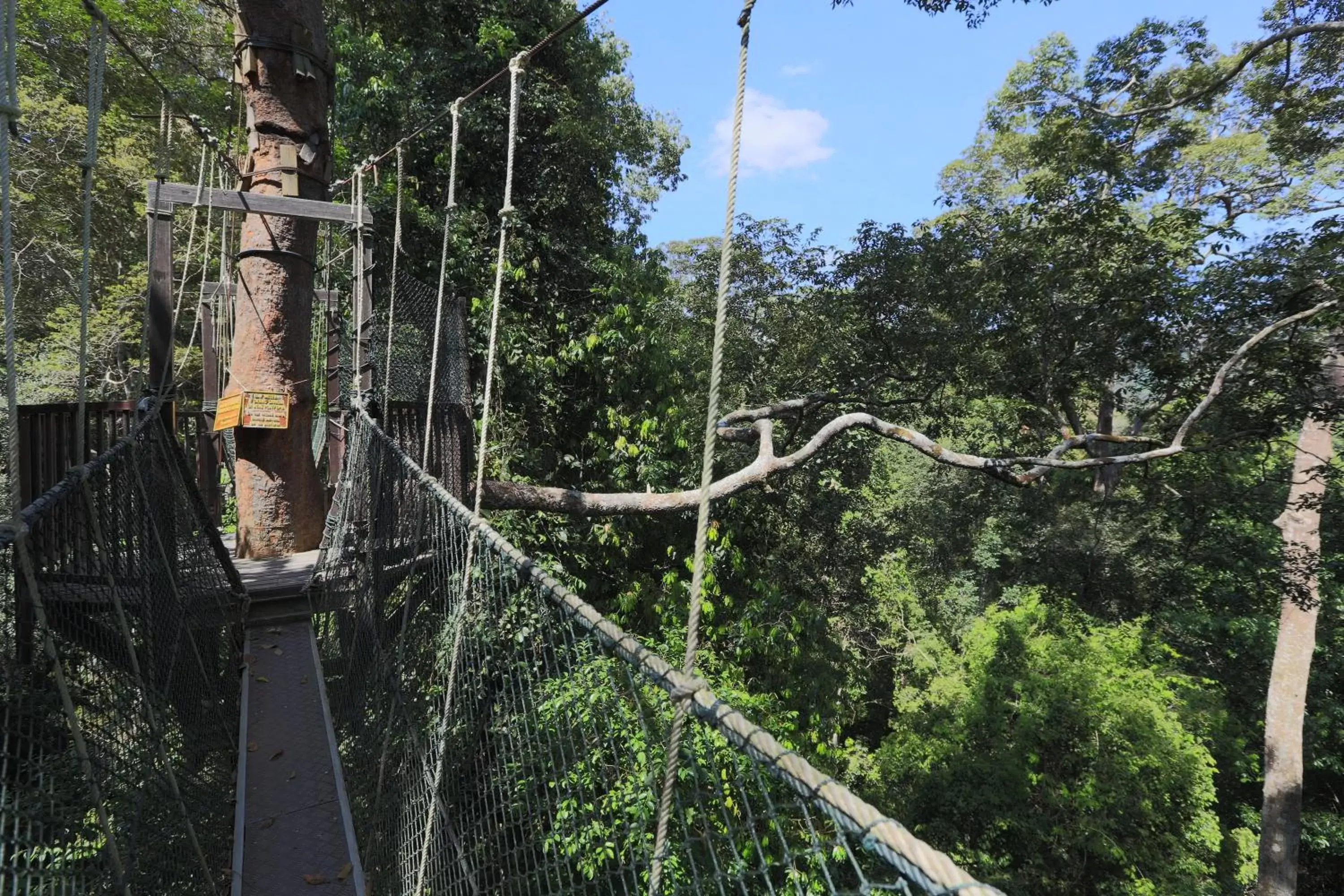 Activities in Mutiara Taman Negara