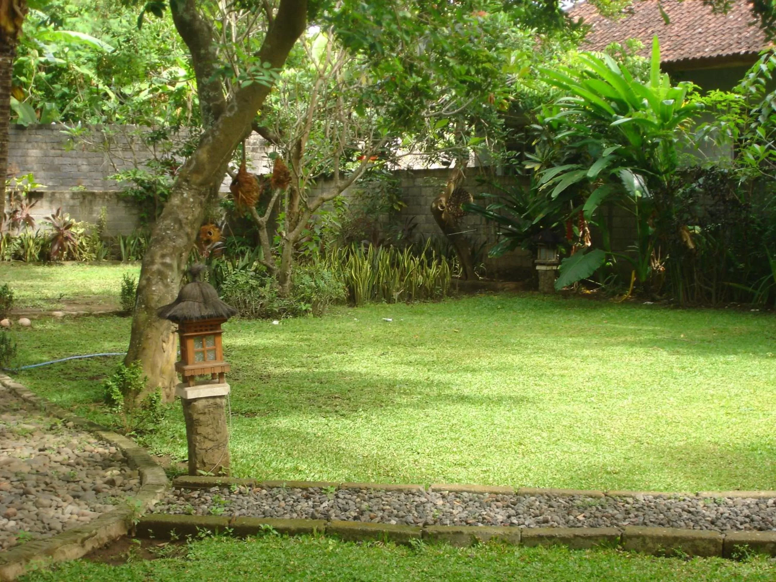 Garden in Penginapan Sedap Malam