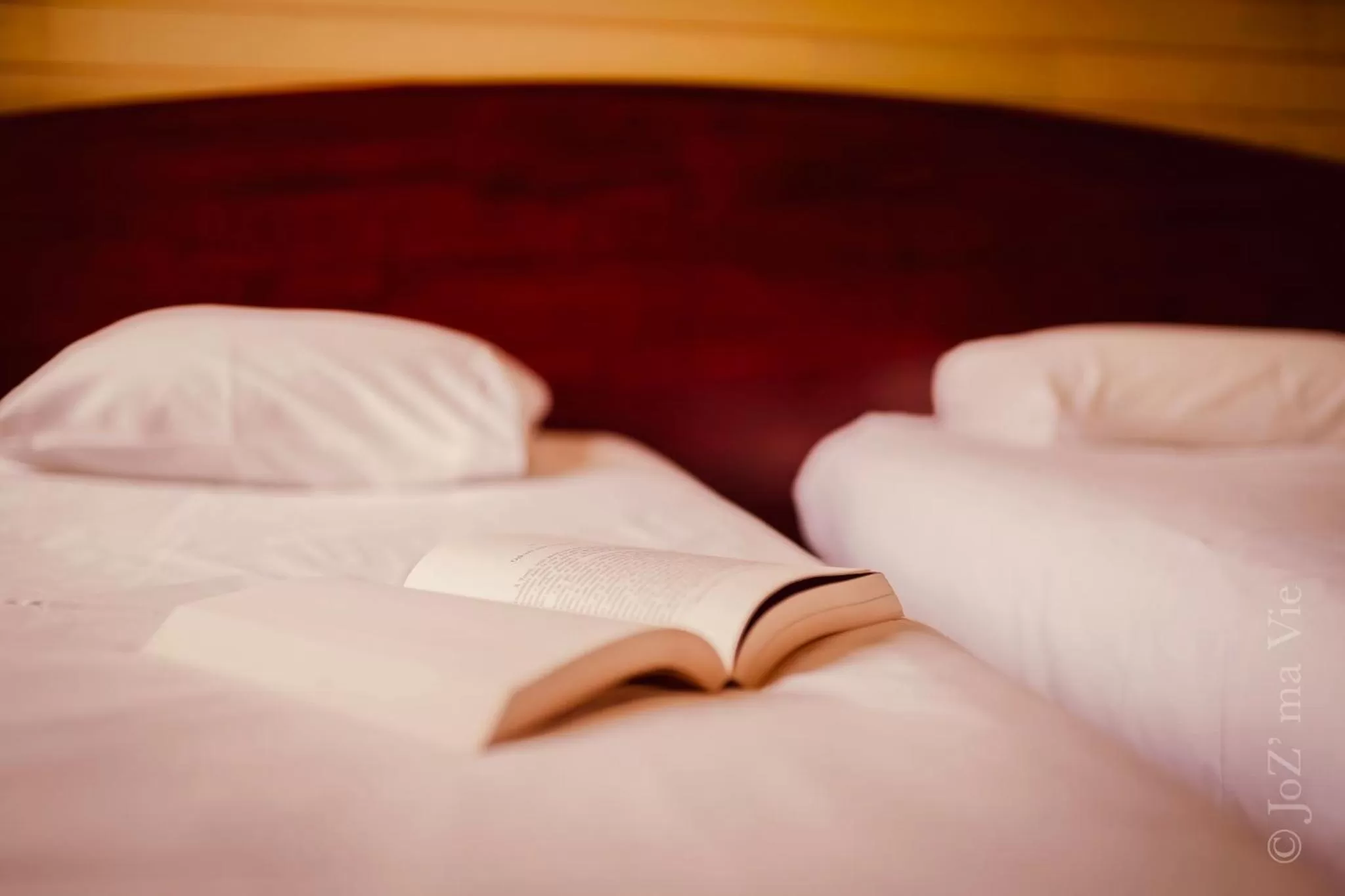 Bed in Grand Hotel De La Poste - Lyon Sud - Vienne