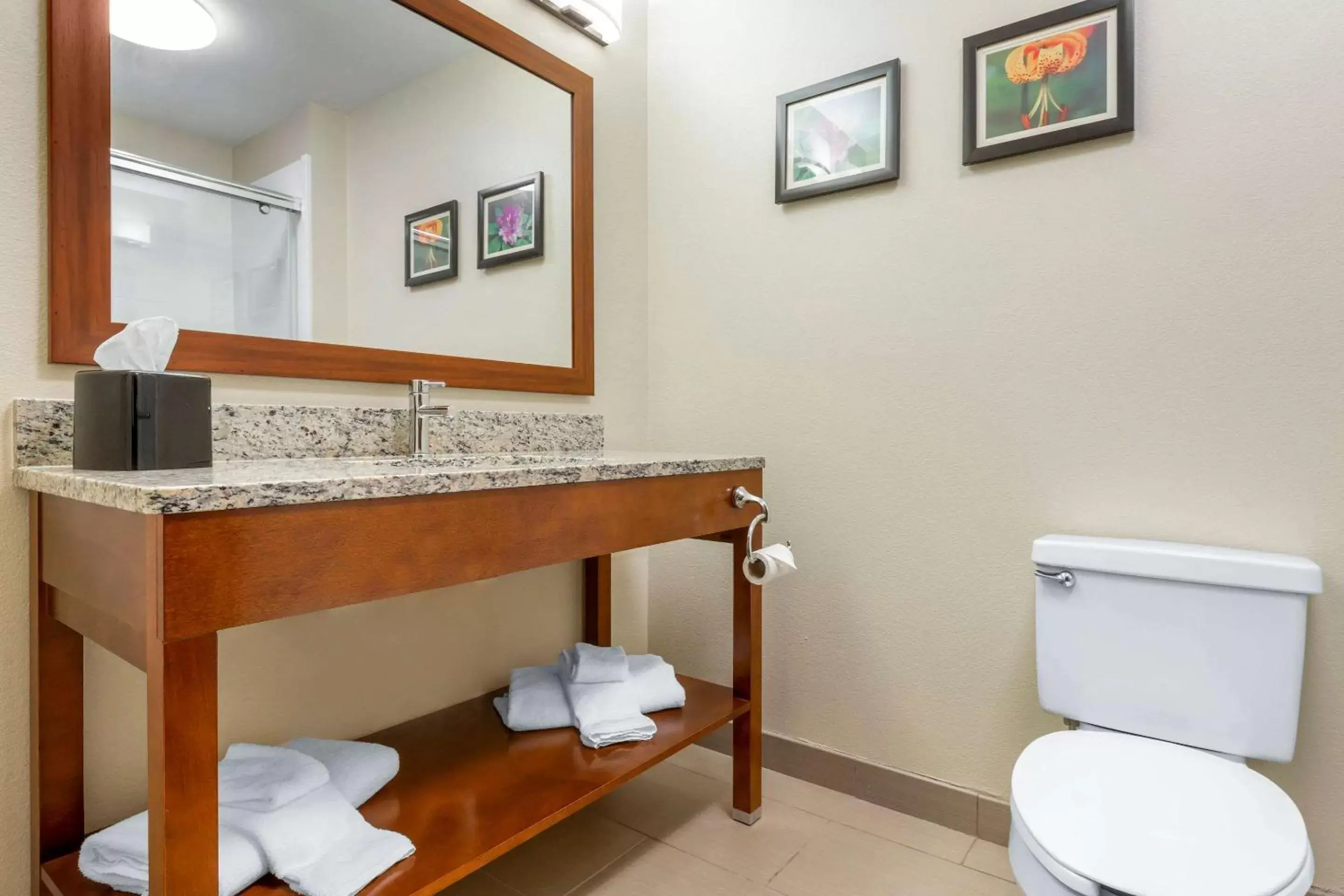 Photo of the whole room, Bathroom in Comfort Inn & Suites Lenoir Hwy 321 Northern Foothills