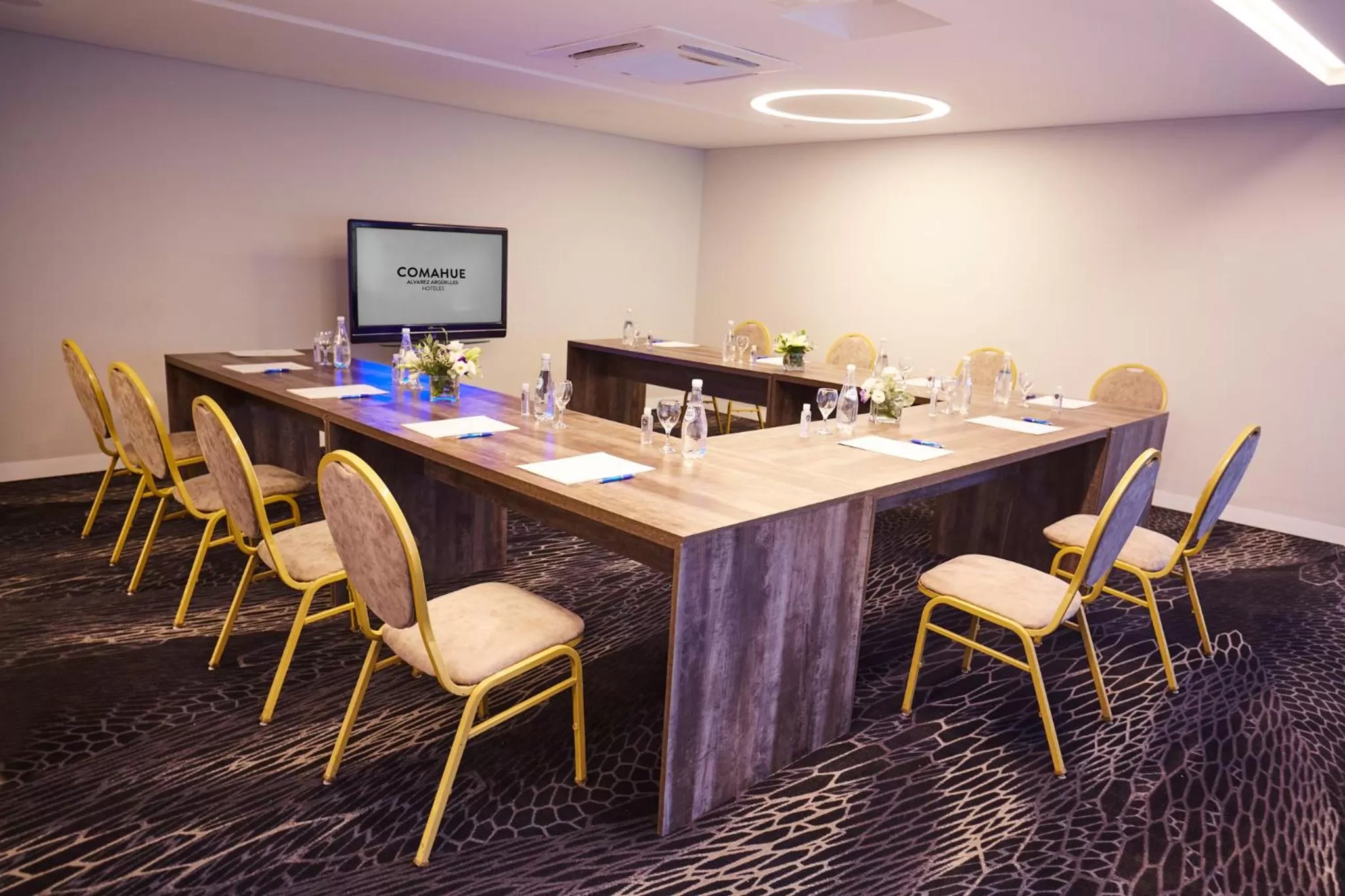 Meeting/conference room in Grand Brizo Comahue