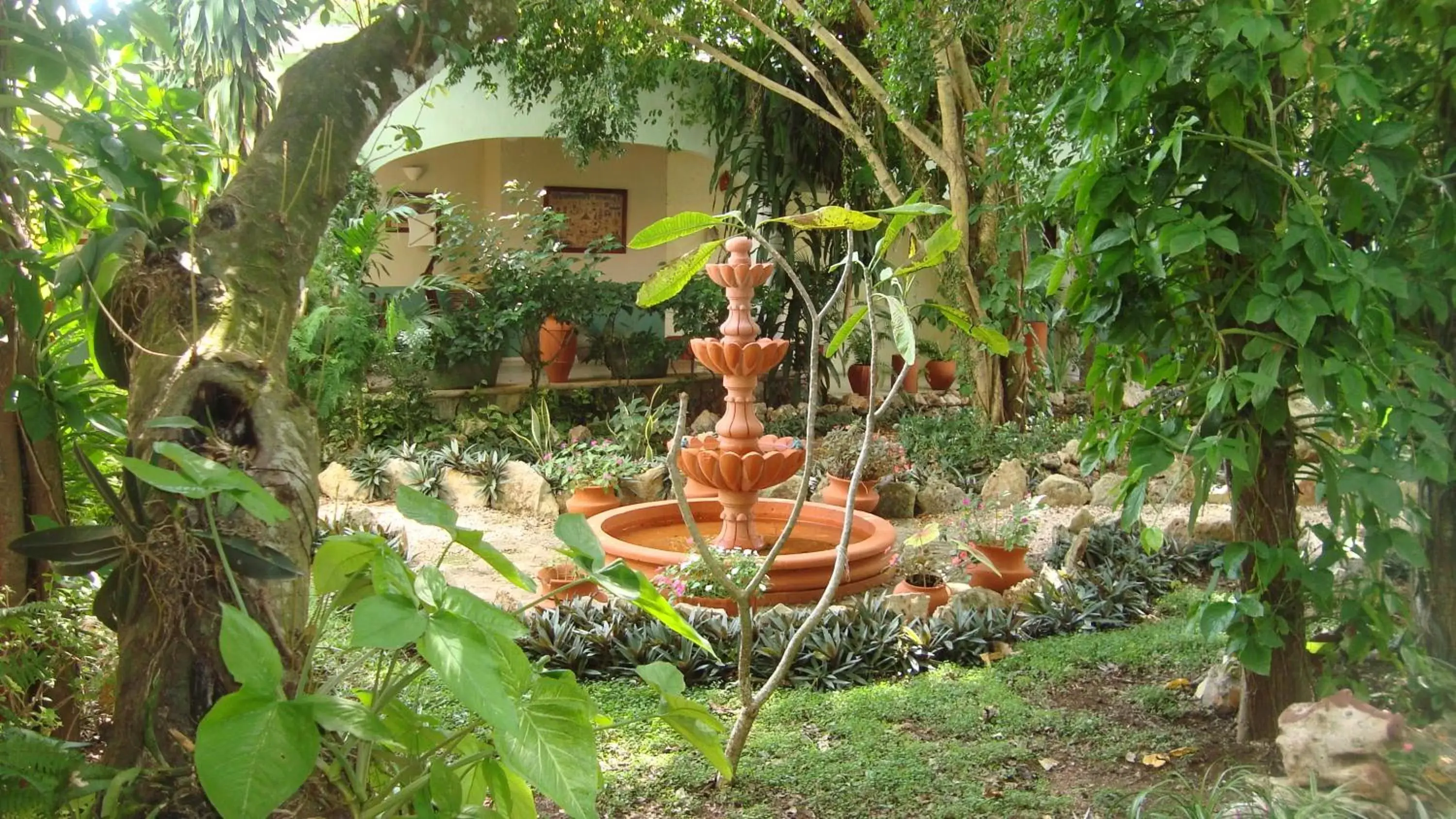 Garden in Casa Quetzal Hotel