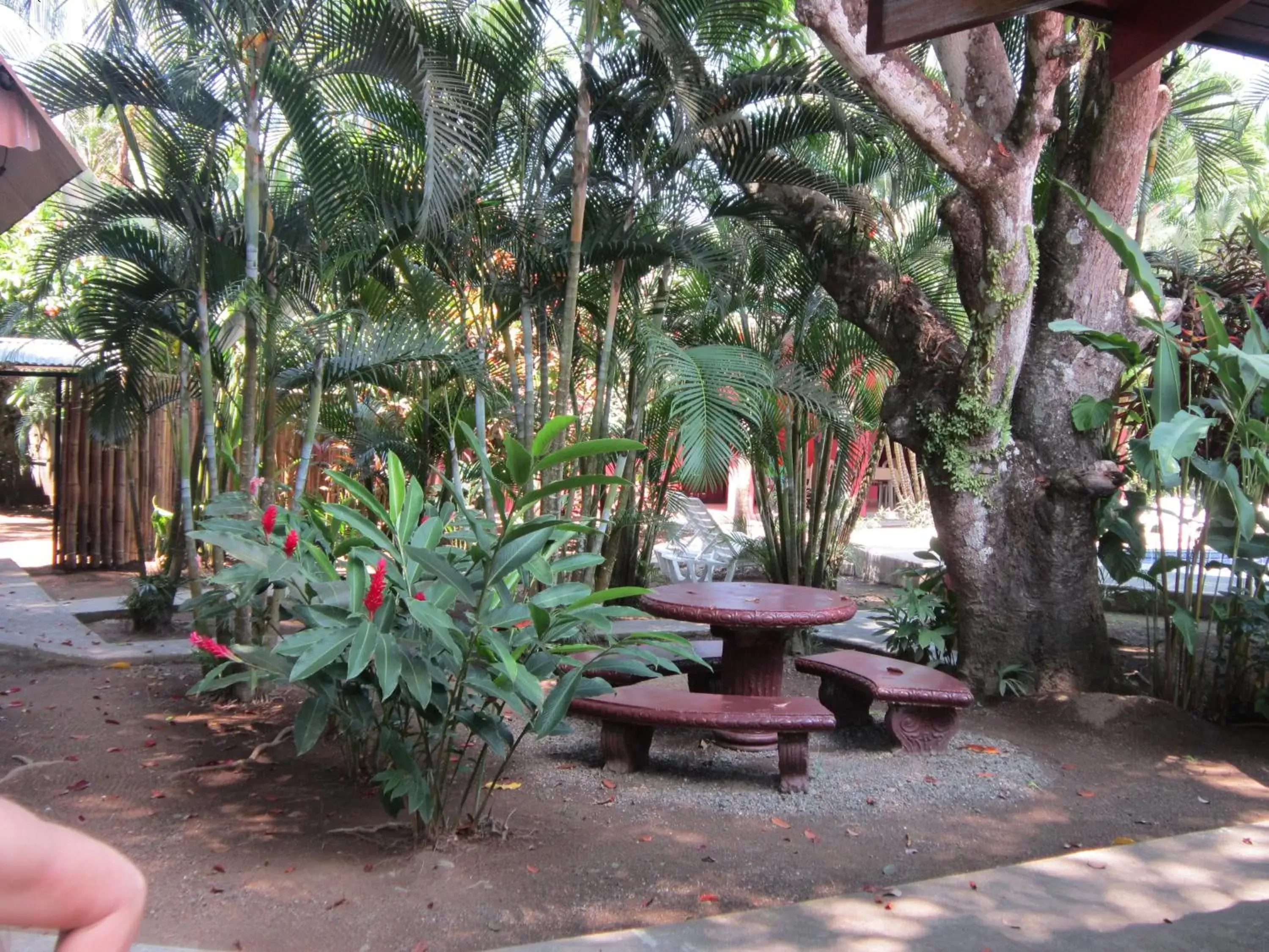 Garden in Hotel El Paraiso Escondido - Costa Rica