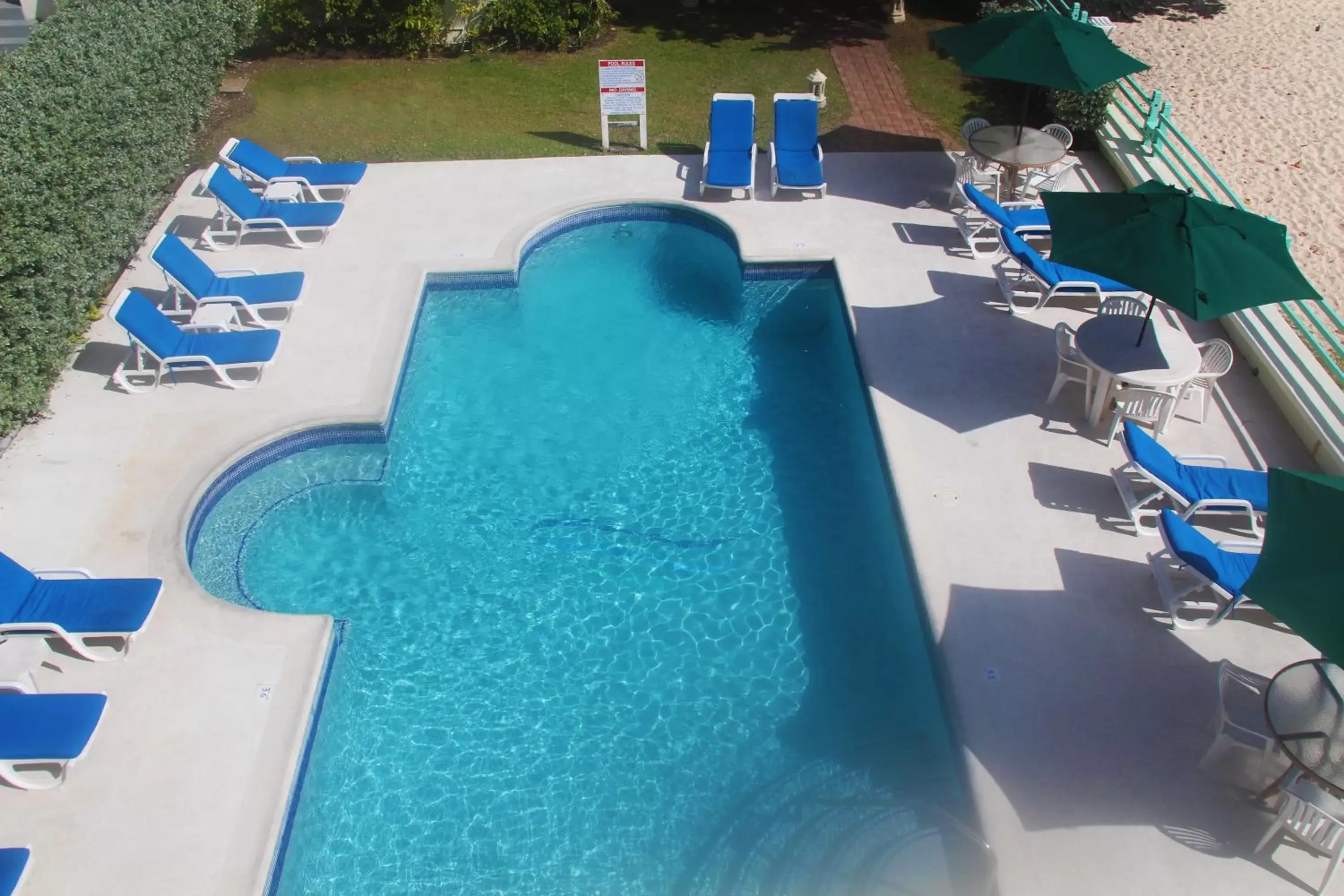 Pool View in Coral Mist Beach Hotel