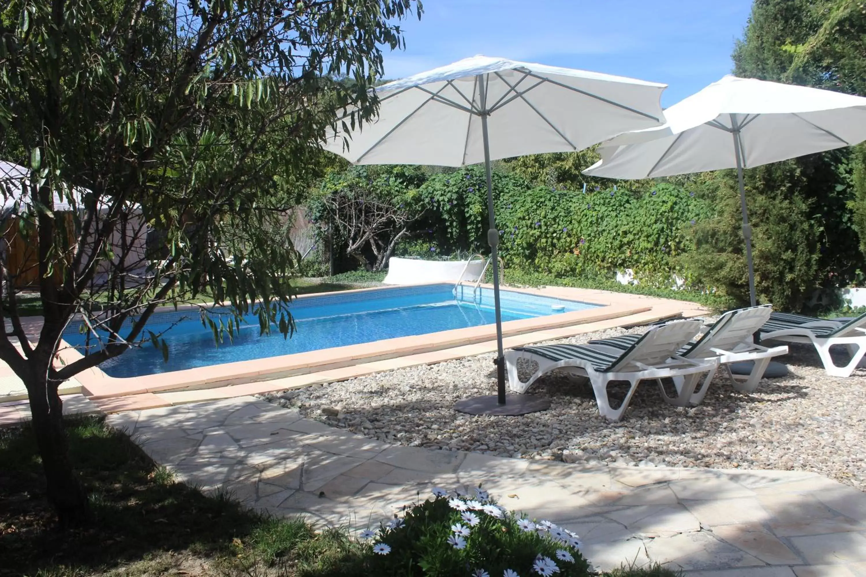 Swimming Pool in Casa La Nuez