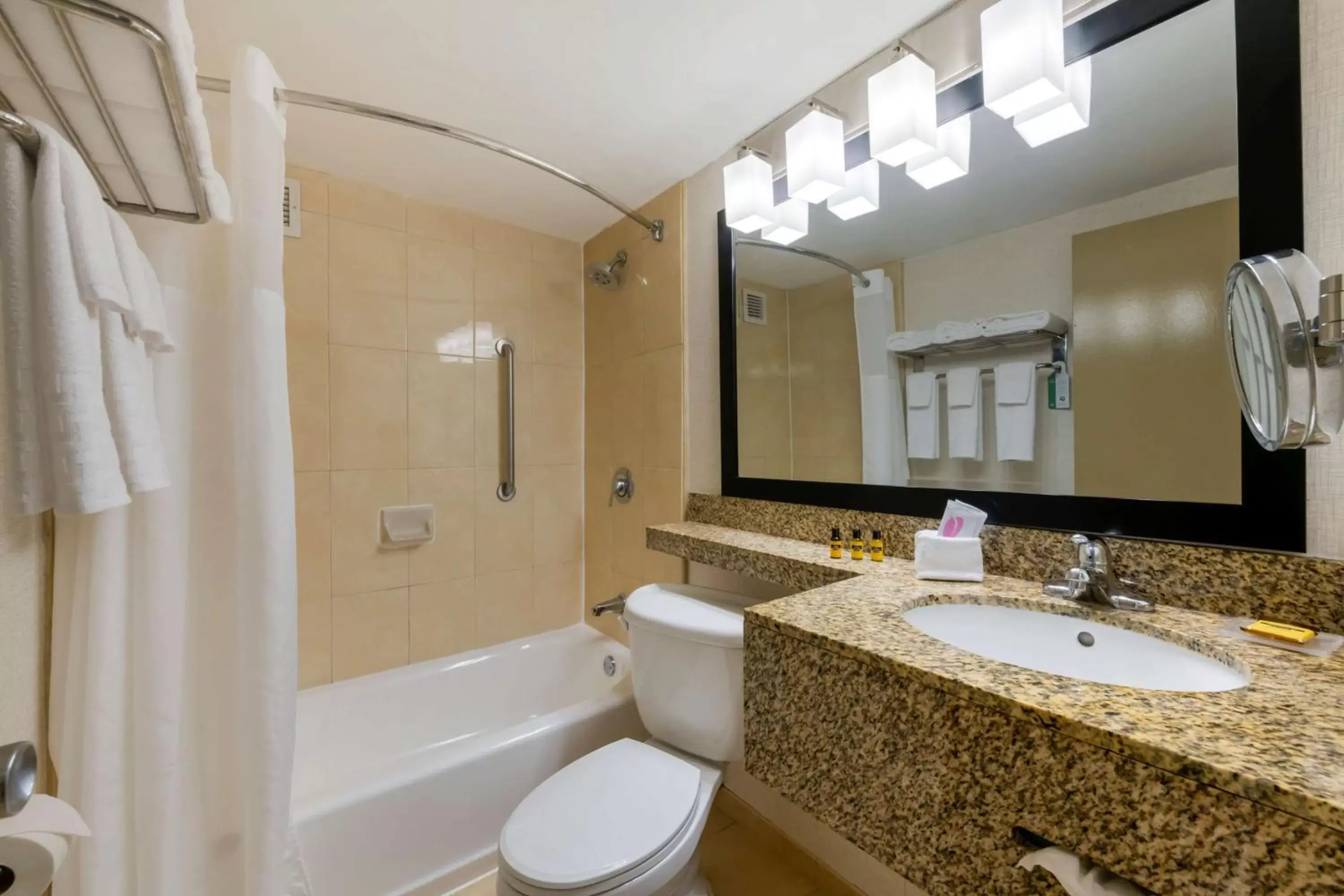 Bathroom in Best Western Plus North Miami-Bal Harbour