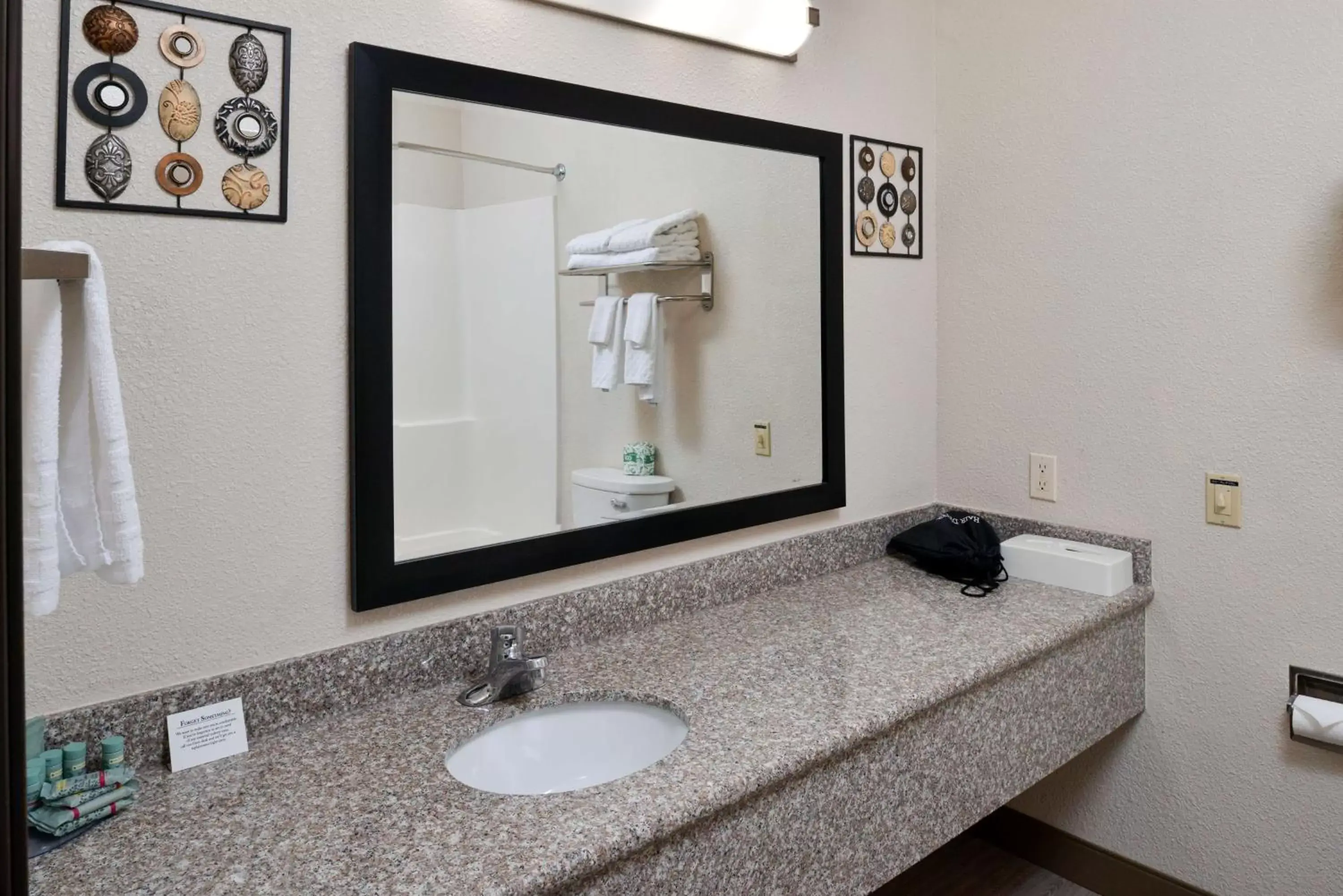 Bathroom in Best Western Big Spring Lodge