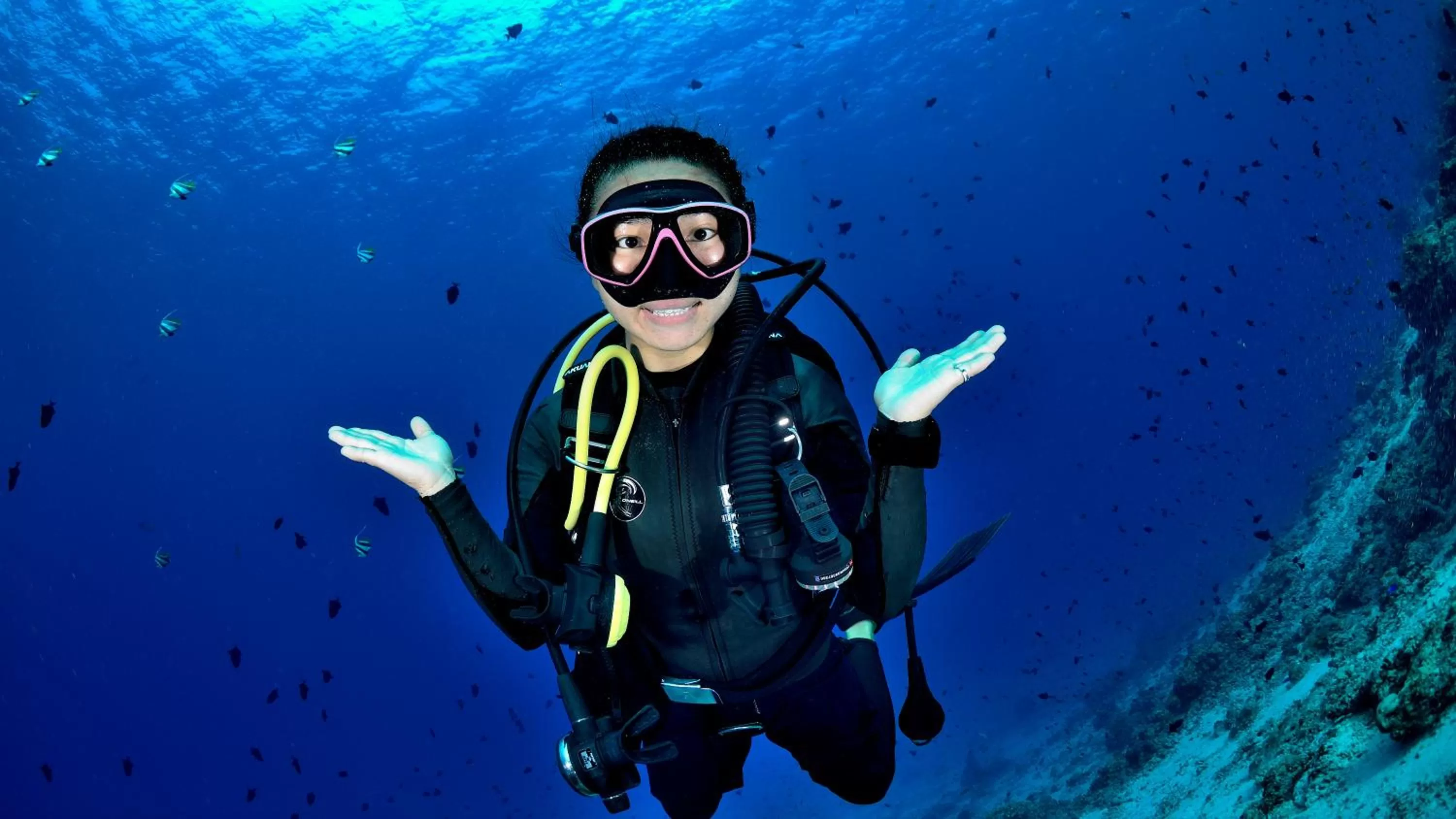 Diving, Snorkeling/Diving in Dhawa Ihuru