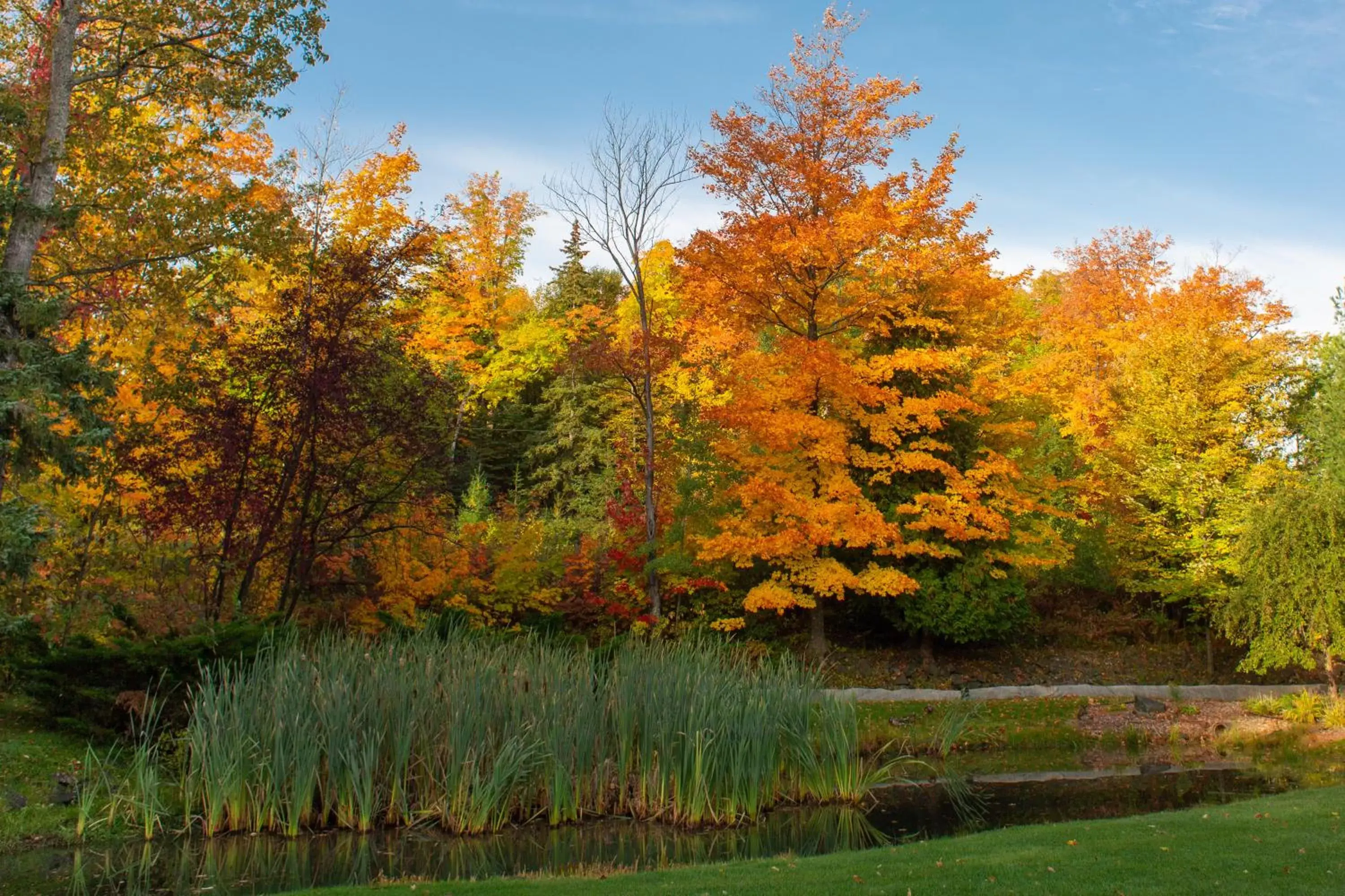 Natural Landscape in Holiday Inn Marquette, an IHG Hotel