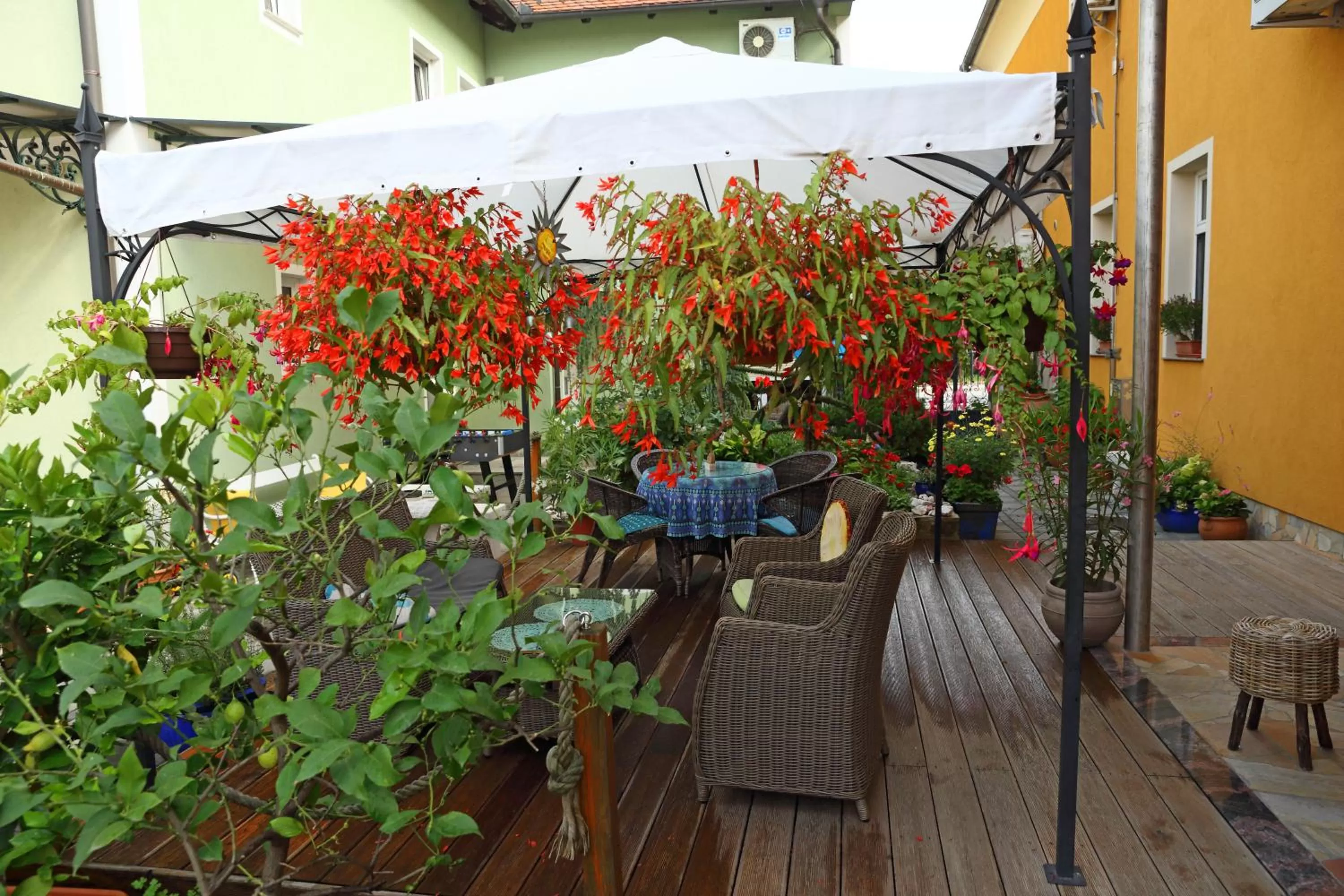 Patio in Hostel Sonce